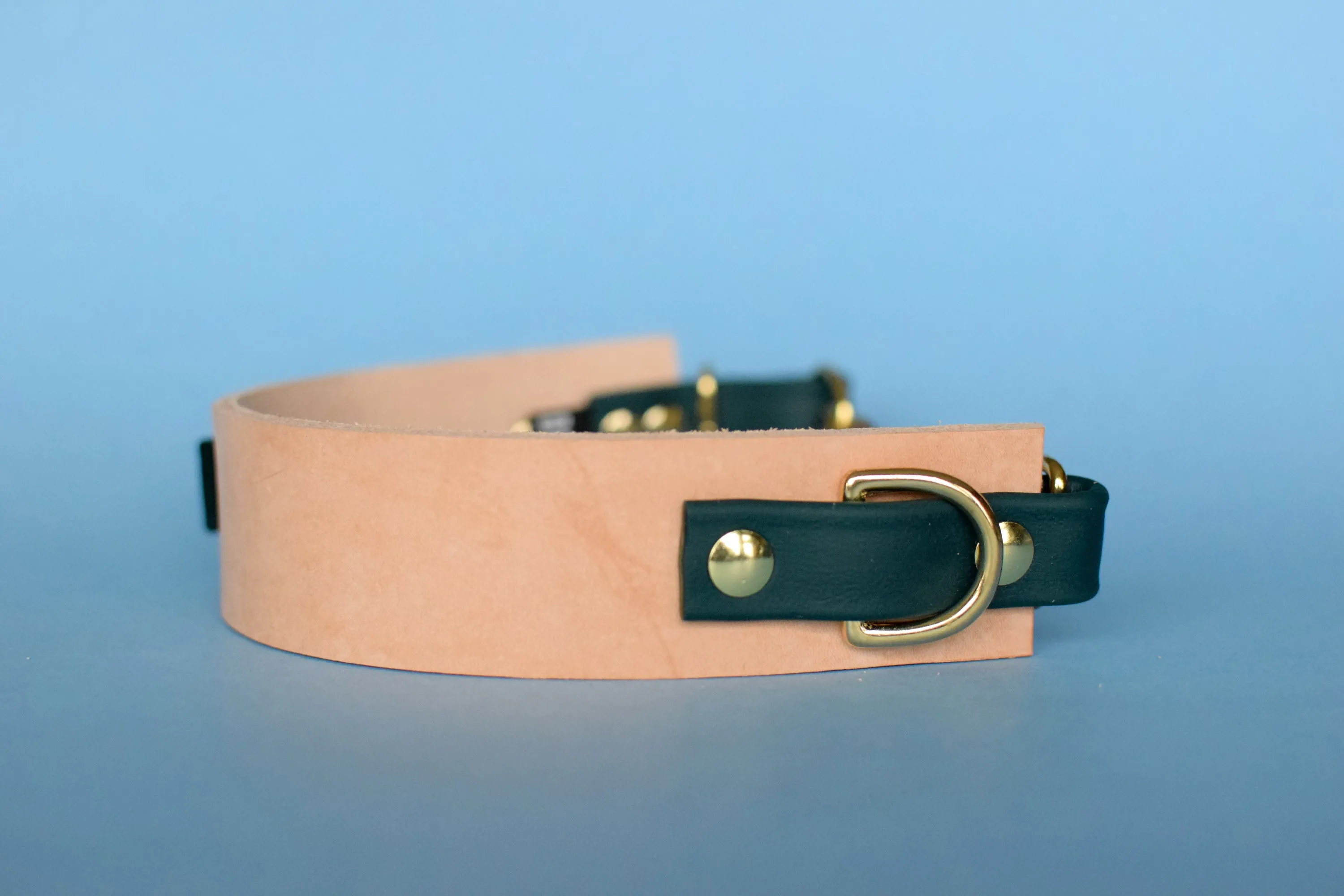 EXCLUSIVE LEATHER COLLECTION - Natural Tan & Forest, Limited Edition Biothane and Leather Combo Martingale Dog Collar