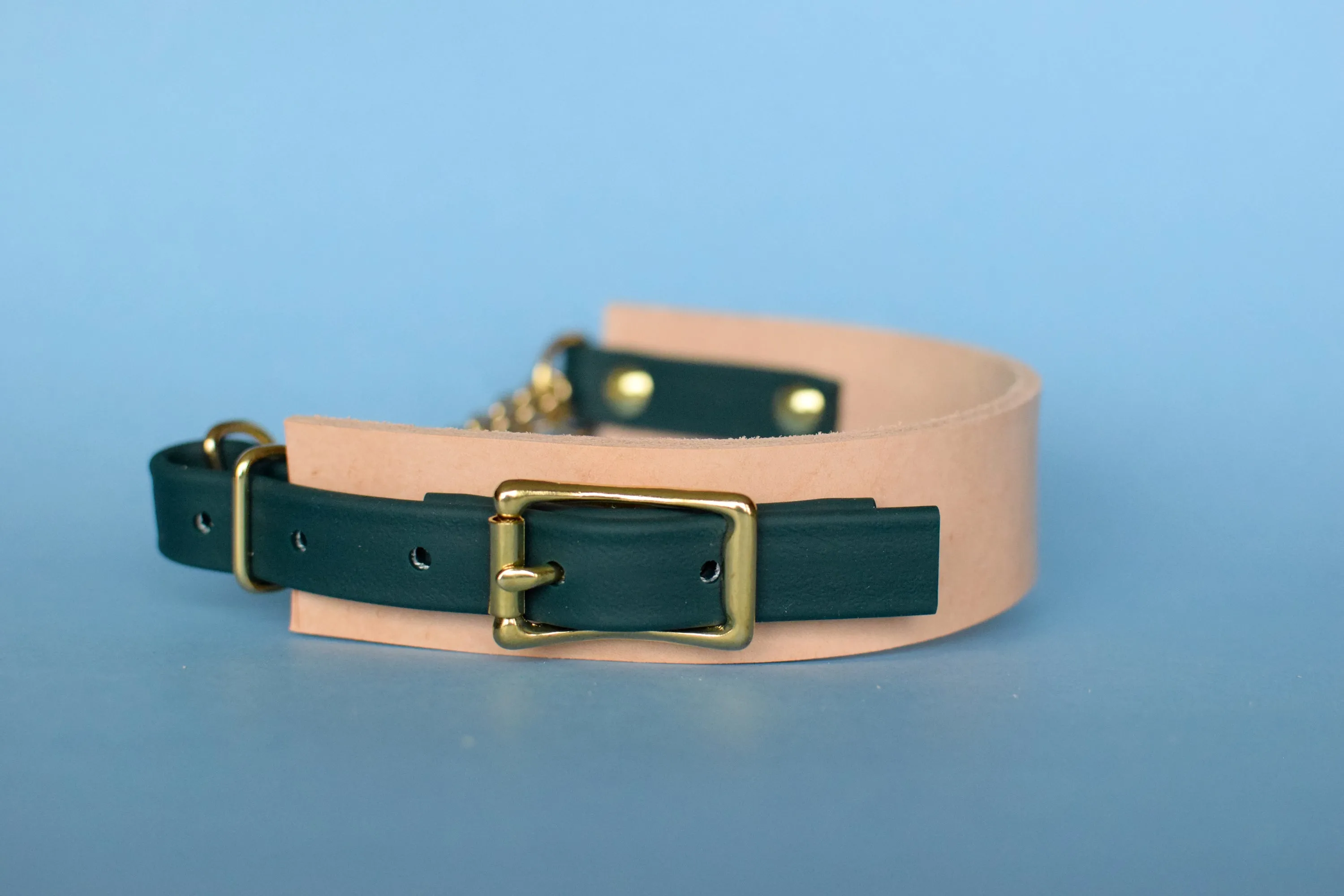 EXCLUSIVE LEATHER COLLECTION - Natural Tan & Forest, Limited Edition Biothane and Leather Combo Martingale Dog Collar