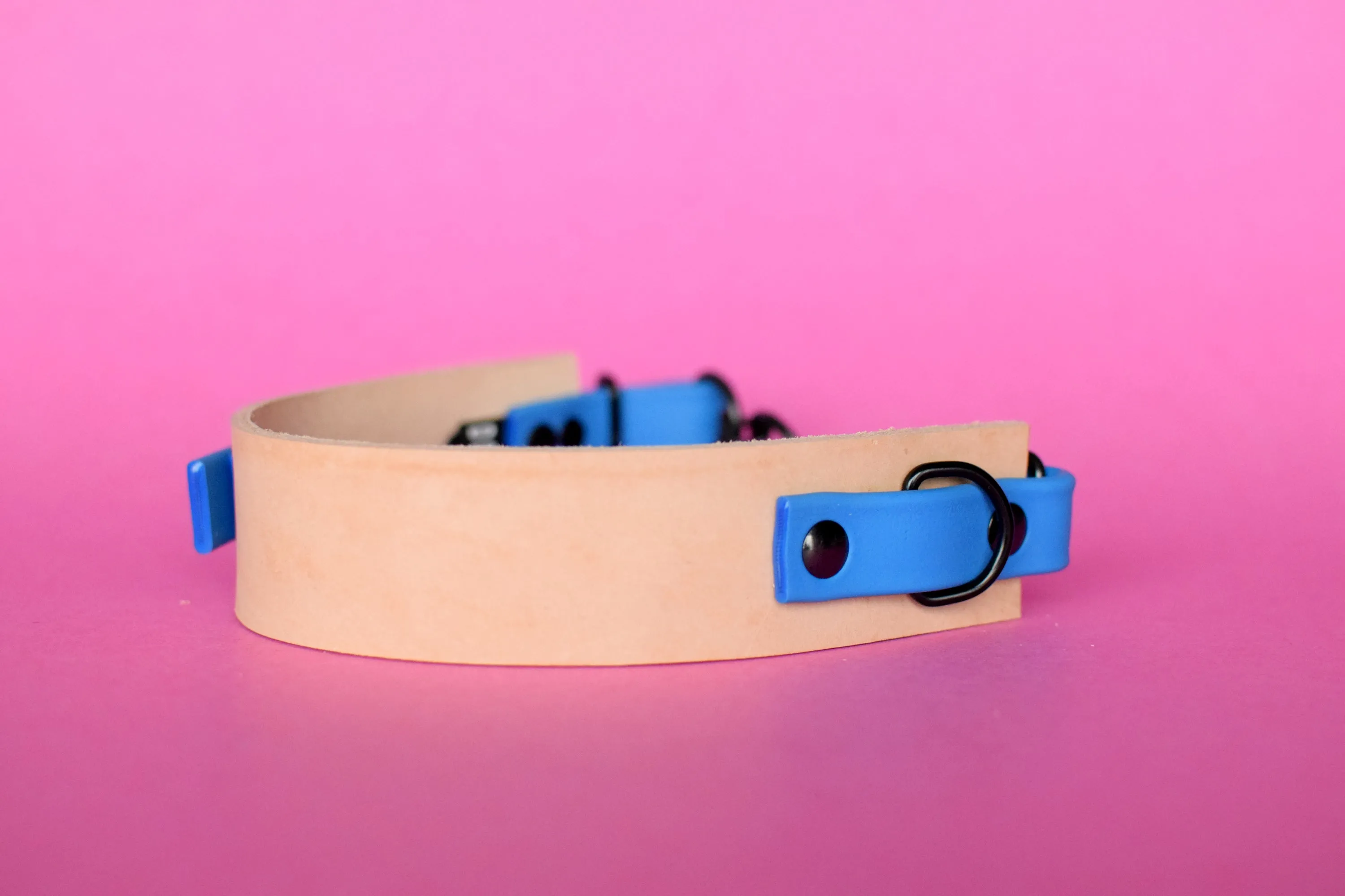 EXCLUSIVE LEATHER COLLECTION - Natural Tan & Sky Blue, Limited Edition Biothane and Leather Combo Martingale Dog Collar