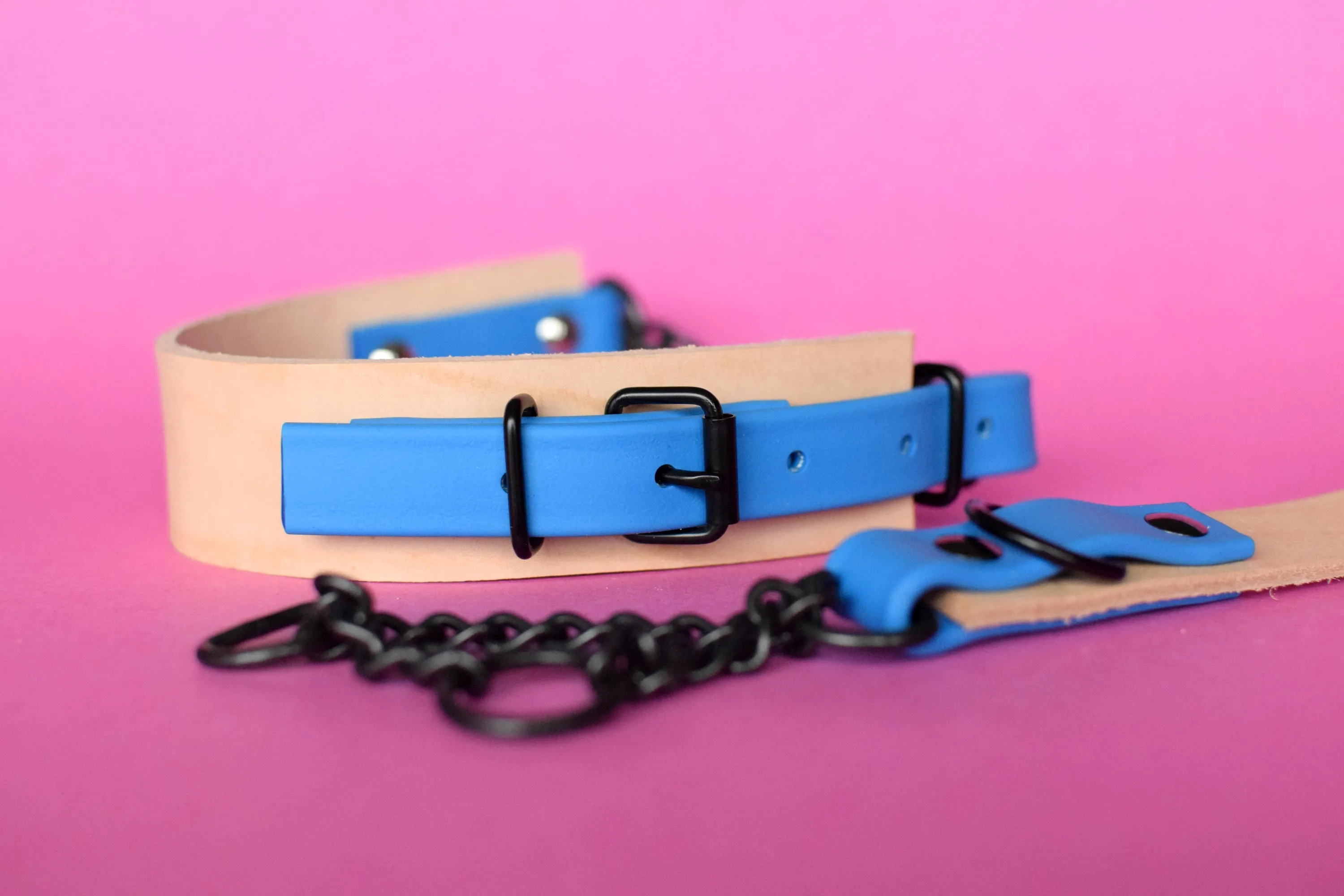 EXCLUSIVE LEATHER COLLECTION - Natural Tan & Sky Blue, Limited Edition Biothane and Leather Combo Martingale Dog Collar