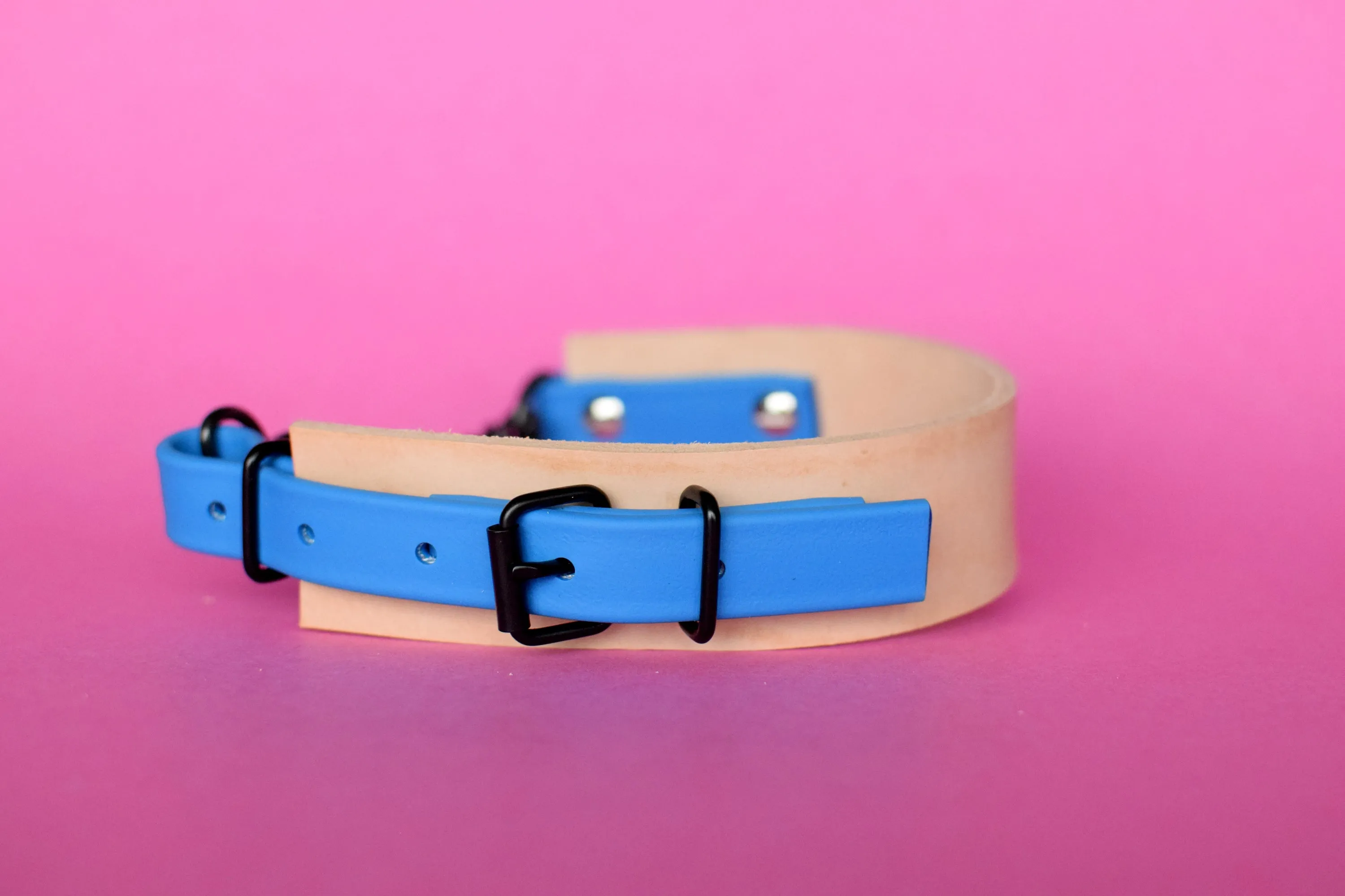 EXCLUSIVE LEATHER COLLECTION - Natural Tan & Sky Blue, Limited Edition Biothane and Leather Combo Martingale Dog Collar
