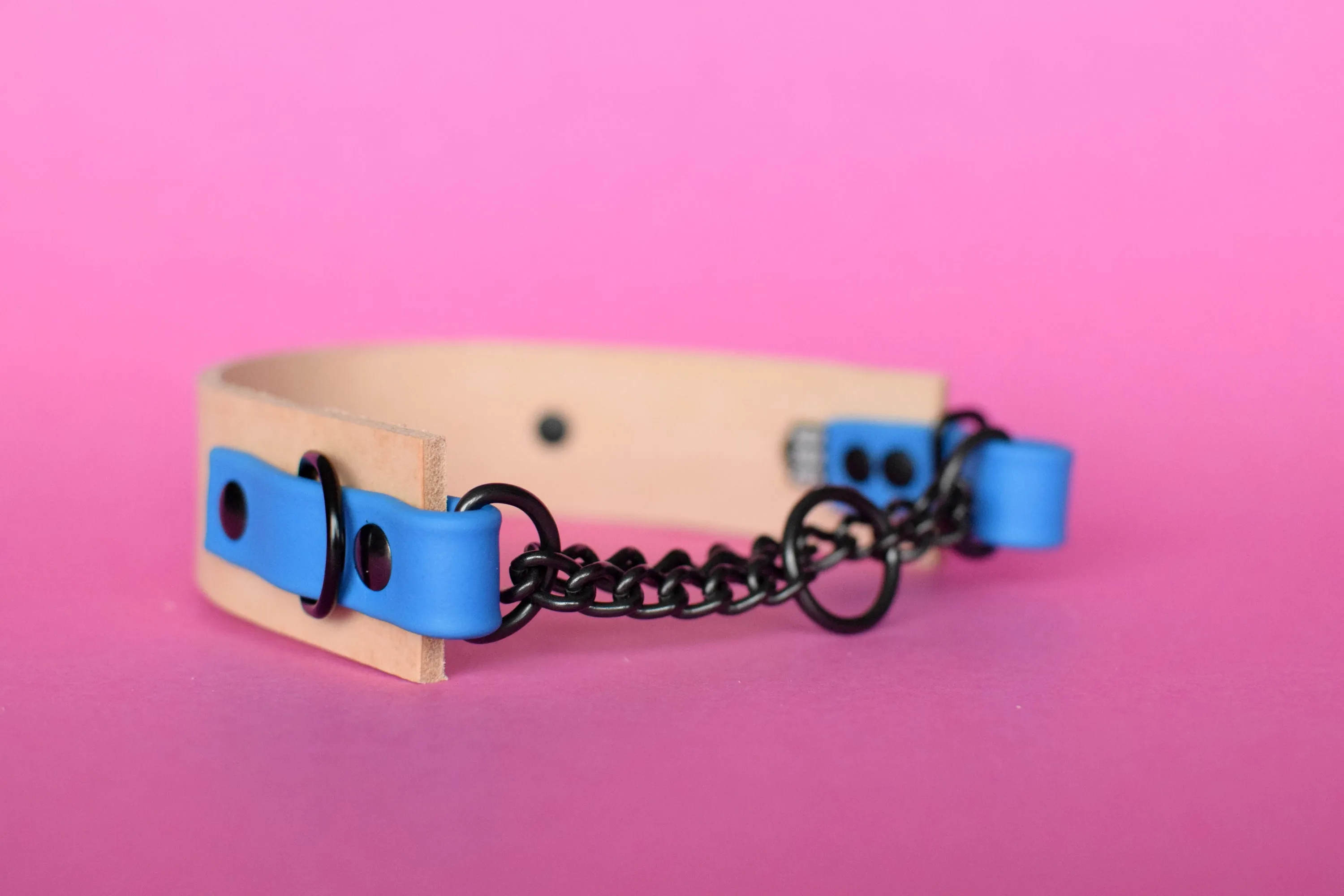EXCLUSIVE LEATHER COLLECTION - Natural Tan & Sky Blue, Limited Edition Biothane and Leather Combo Martingale Dog Collar