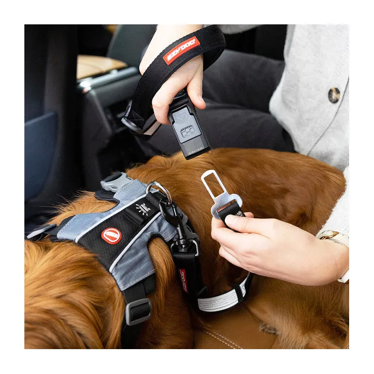 EzyDog Drive Click Leash 52cm