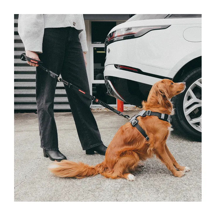 EzyDog Drive Click Leash 52cm