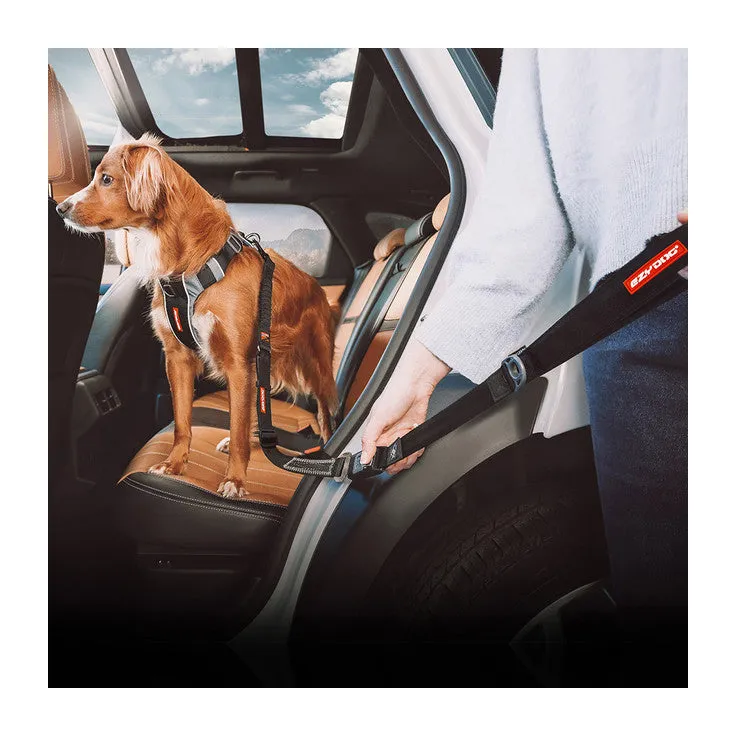 EzyDog Drive Click Leash 52cm