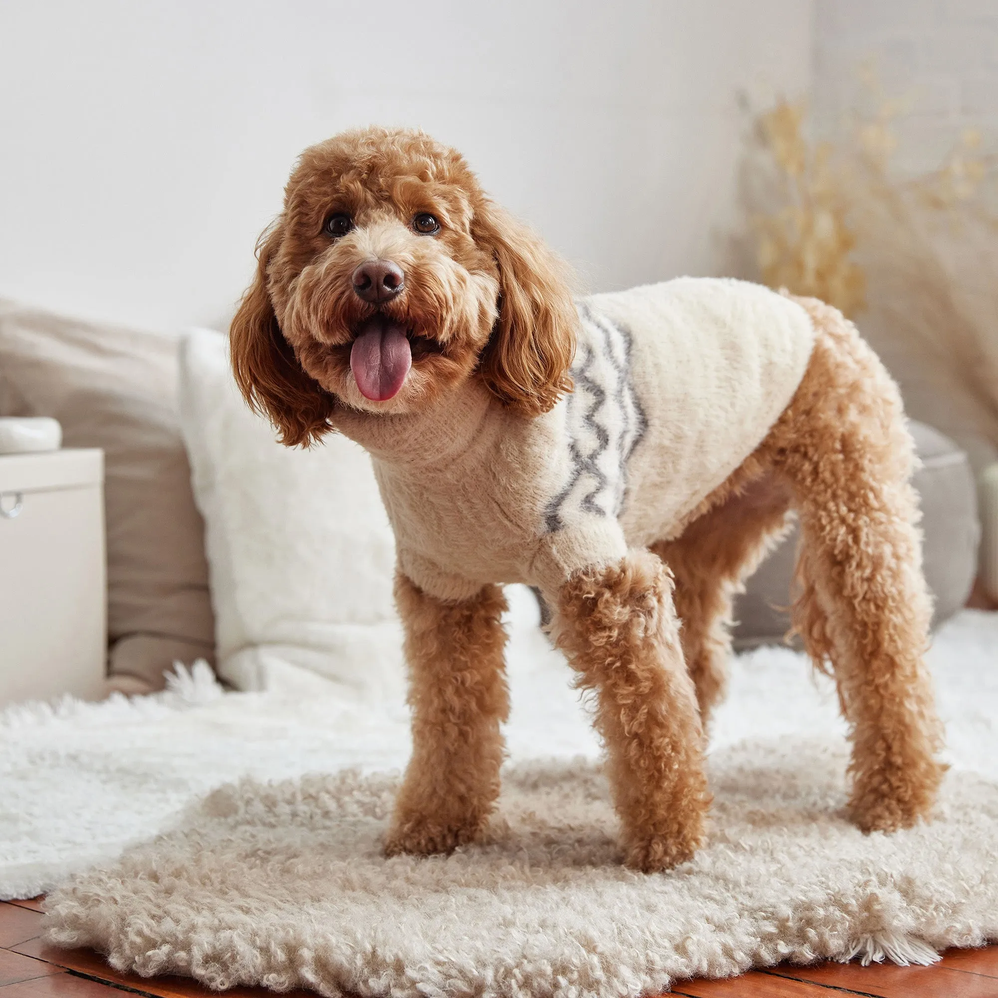 Fuzzy Dog Sweater | Sand