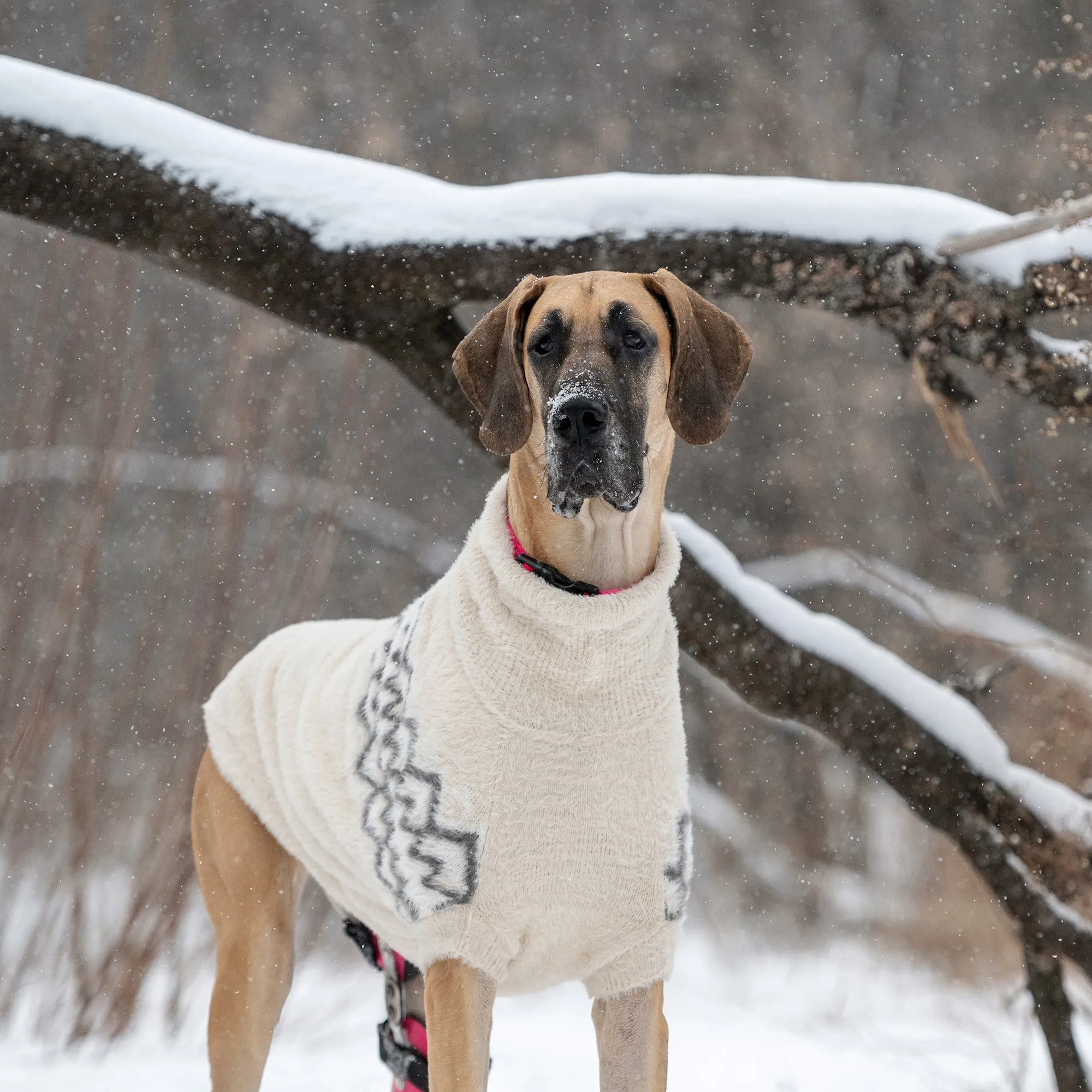 Fuzzy Dog Sweater | Sand