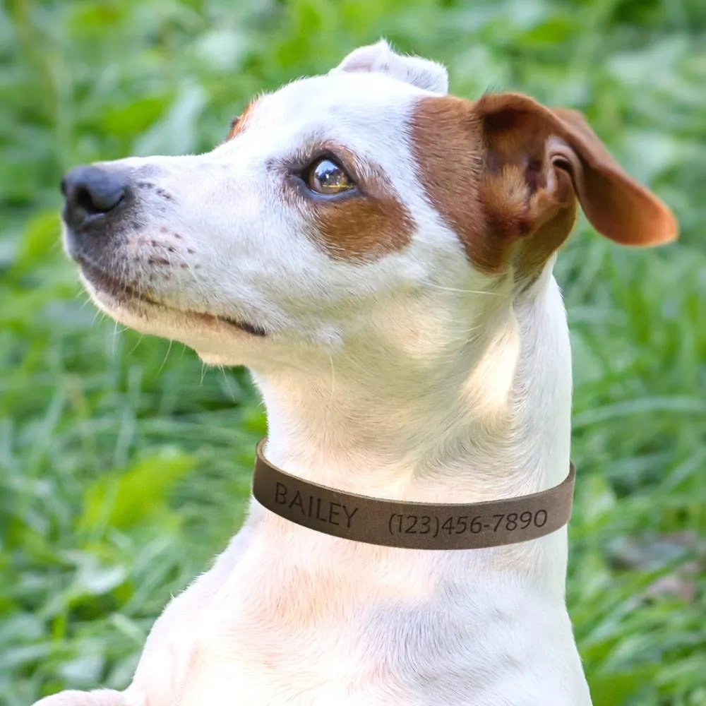 Genuine Leather Custom Pet ID Collar