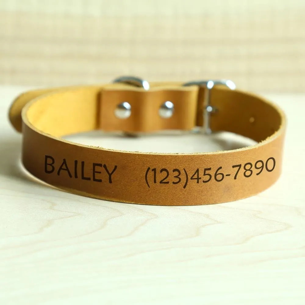 Genuine Leather Custom Pet ID Collar