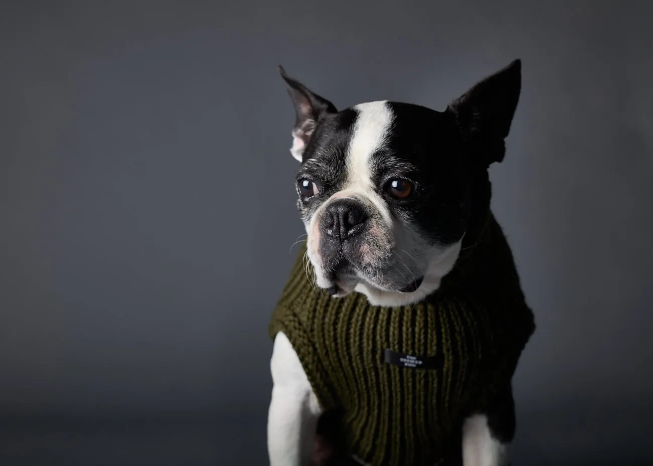 Green Knit Turtleneck Vest MALIBU