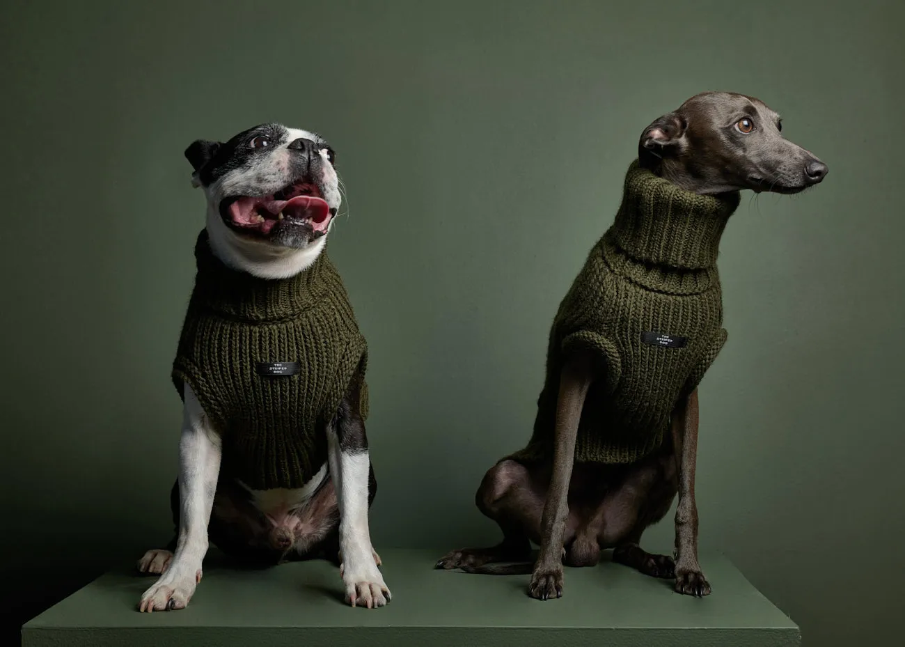 Green Knit Turtleneck Vest MALIBU