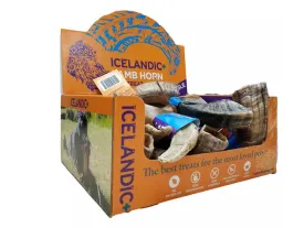 Icelandic  Lamb Horn Large