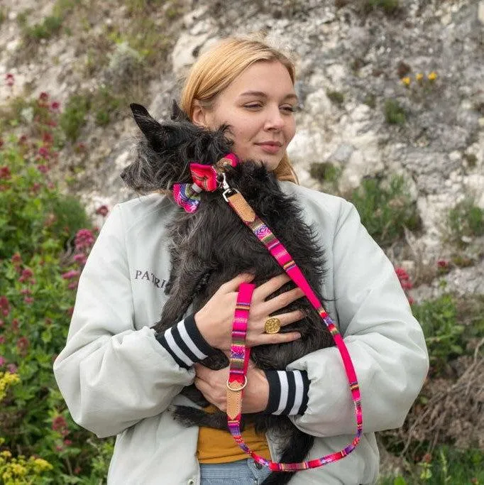 Inca Pink Classic Dog Lead
