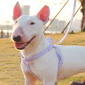Jelly PVC Chest Back Collar Dog Lead