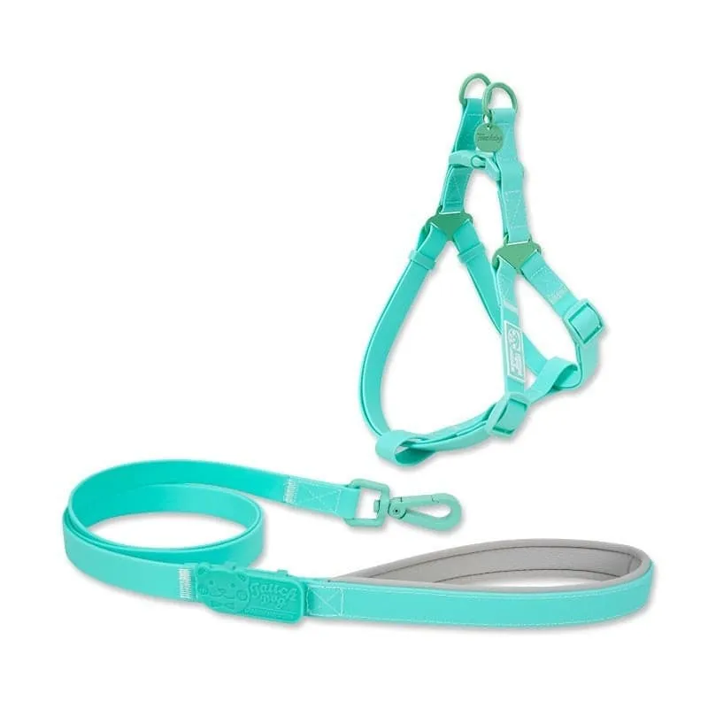 Jelly PVC Chest Back Collar Dog Lead