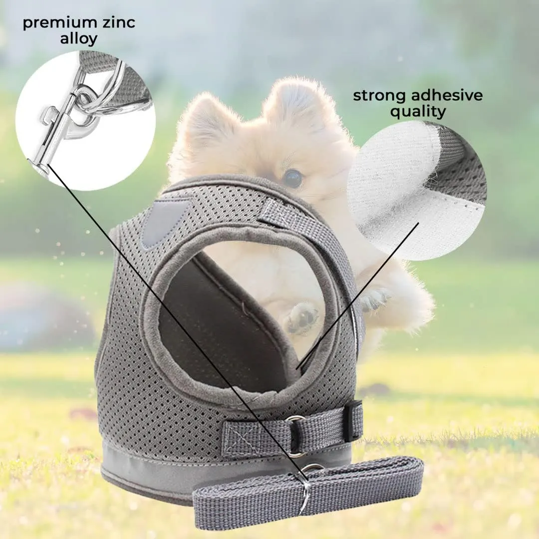 Kuber Industries Reflective Dog Harness with Adjustable Leash|Breathable Polyester Mesh Fabric |Large Size|HT-844|Comfortable No-Pull Grip|Quick Release Buckles|Easy On-Off Harness|Grey (Pack of 3)