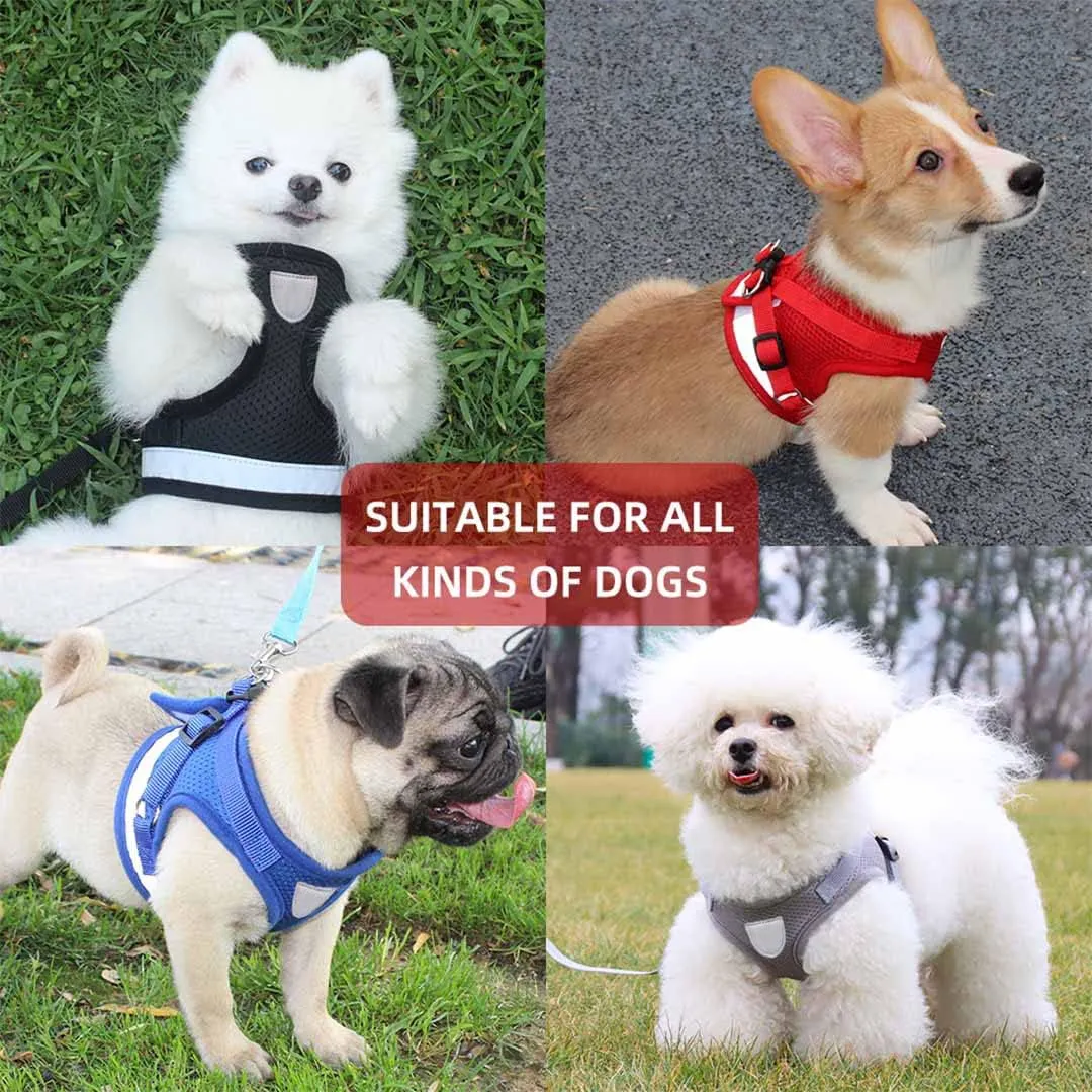 Kuber Industries Reflective Dog Harness with Adjustable Leash|Breathable Polyester Mesh Fabric |Large Size|HT-844|Comfortable No-Pull Grip|Quick Release Buckles|Easy On-Off Harness|Grey (Pack of 3)