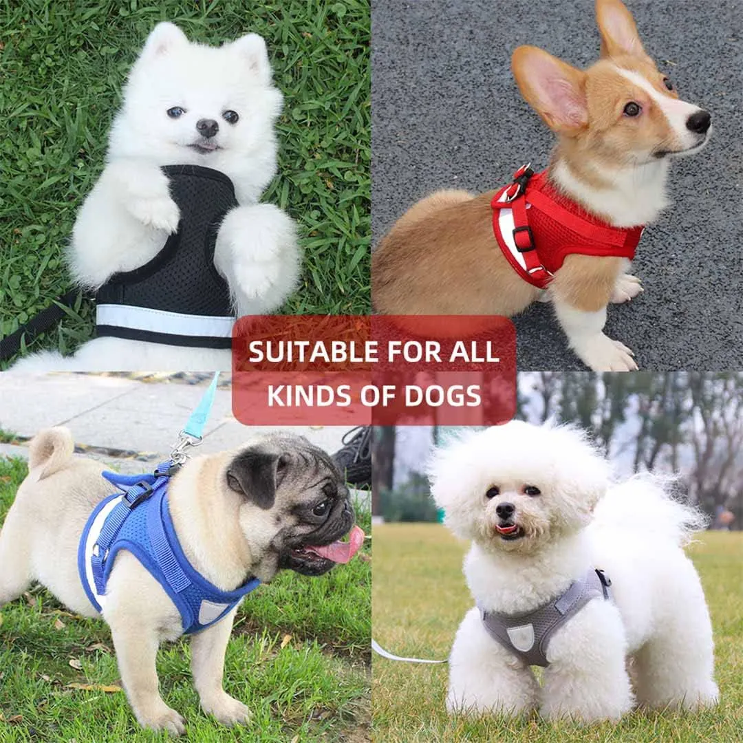 Kuber Industries Reflective Dog Harness with Adjustable Leash|Breathable Polyester Mesh Fabric |Medium Size|HT-844|Comfortable No-Pull Grip|Quick Release Buckles|Easy On-Off Harness|Black (Pack of 6)