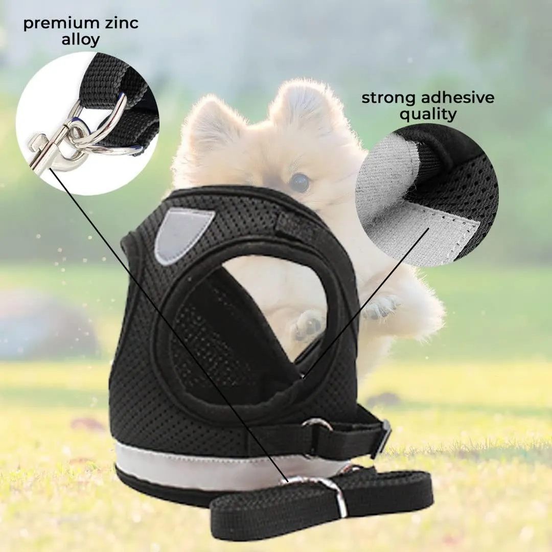 Kuber Industries Reflective Dog Harness with Adjustable Leash|Breathable Polyester Mesh Fabric |Medium Size|HT-844|Comfortable No-Pull Grip|Quick Release Buckles|Easy On-Off Harness|Black (Pack of 6)