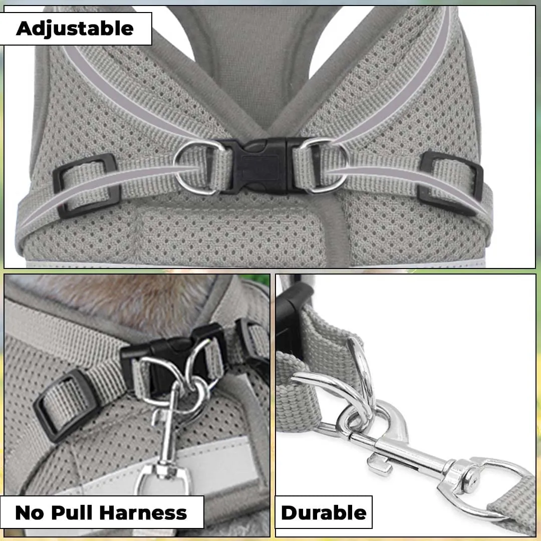 Kuber Industries Reflective Dog Harness with Adjustable Leash|Breathable Polyester Mesh Fabric |Medium Size|HT-844|Comfortable No-Pull Grip|Quick Release Buckles|Easy On-Off Harness|Grey (Pack of 6)