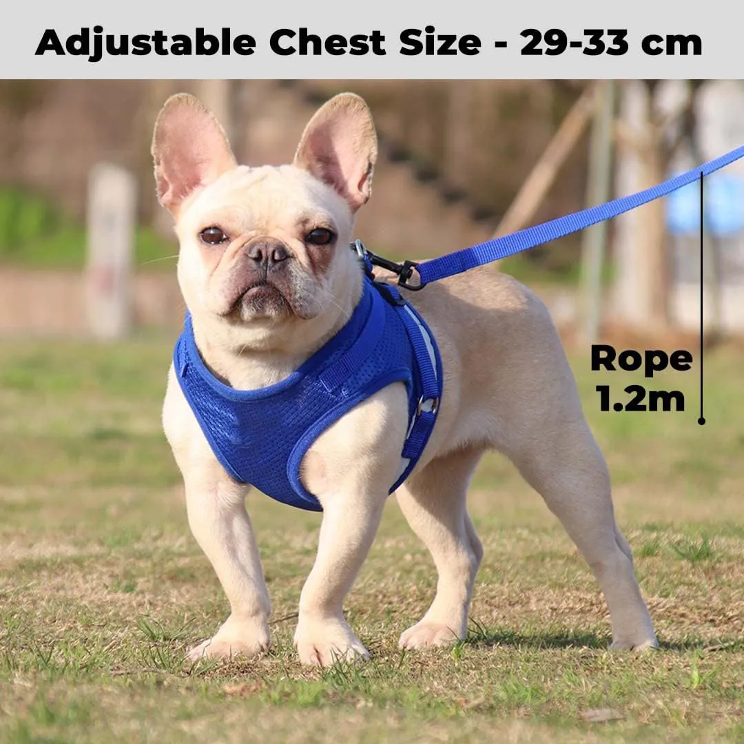 Kuber Industries Reflective Dog Harness with Adjustable Leash|Breathable Polyester Mesh Fabric |Small Size|HT-844|Comfortable No-Pull Grip|Quick Release Buckles|Easy On-Off Harness|Blue (Pack of 5)