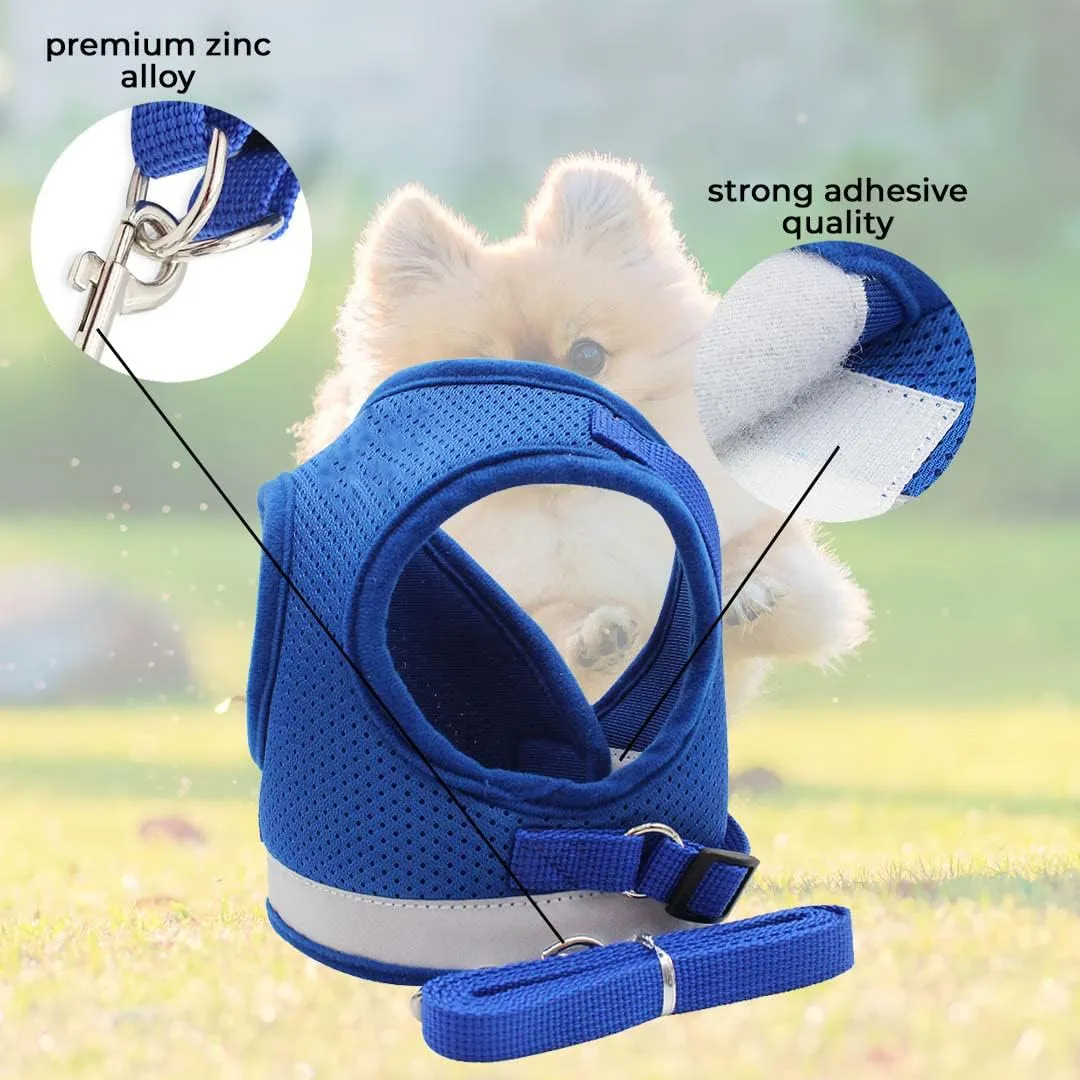 Kuber Industries Reflective Dog Harness with Adjustable Leash|Breathable Polyester Mesh Fabric |Small Size|HT-844|Comfortable No-Pull Grip|Quick Release Buckles|Easy On-Off Harness|Blue (Pack of 5)