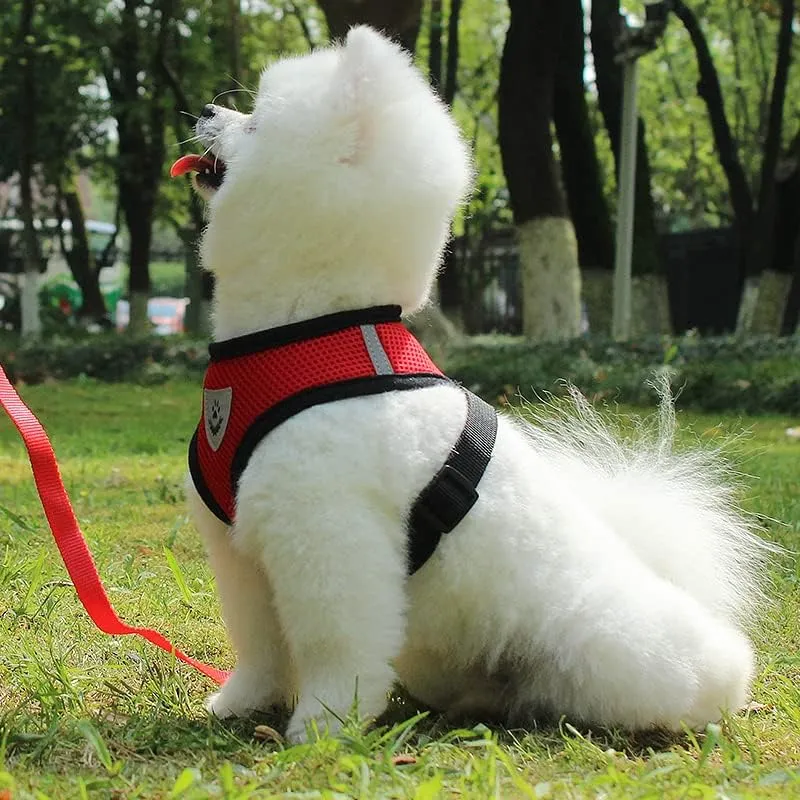 Kuber Industries Reflective Dog Harness with Adjustable Leash|Breathable Polyester Mesh Fabric with Top Carry Handle|Medium Size|HAT-818|Comfortable No-Pull Grip|Quick Release Buckles|Red (Pack of 2)