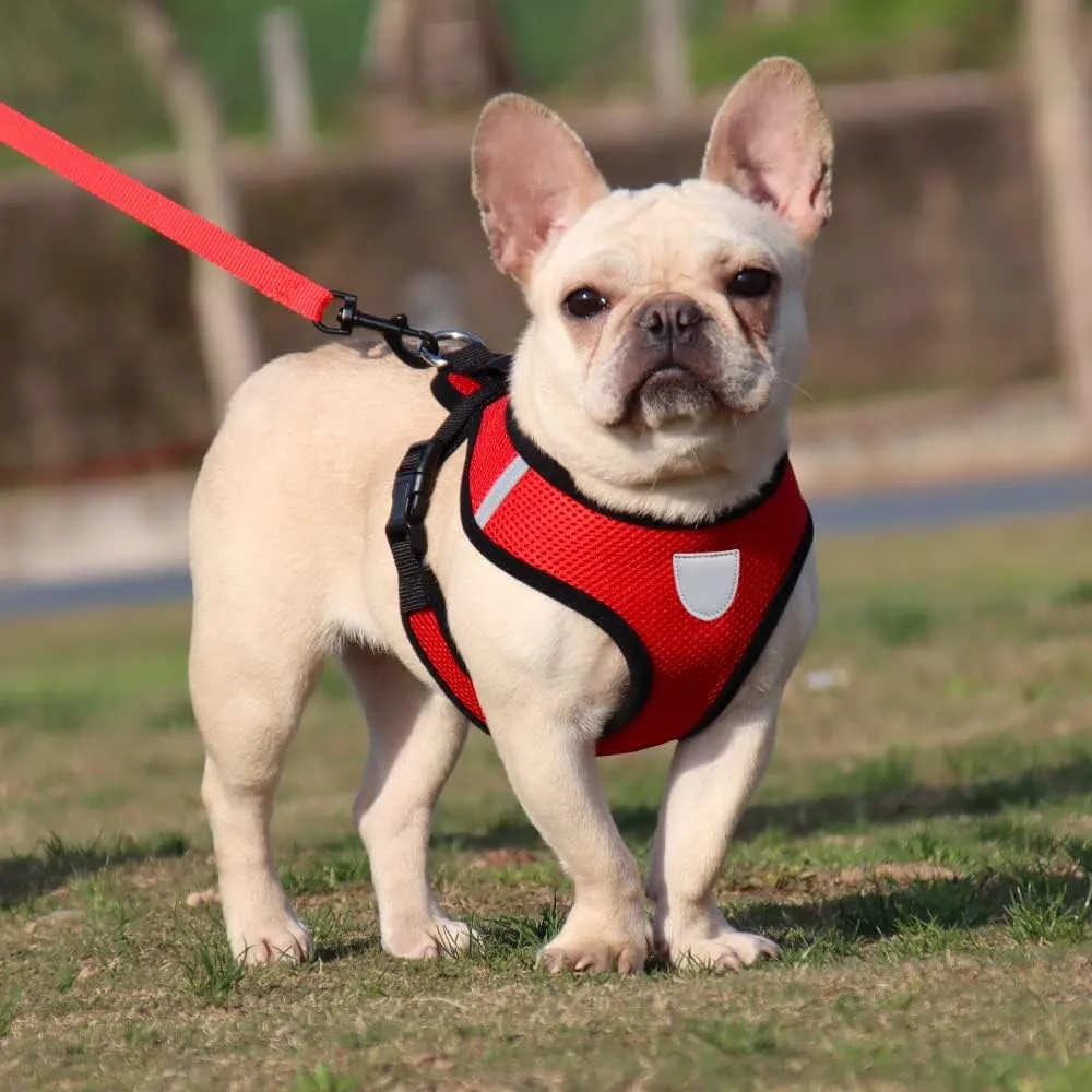 Kuber Industries Reflective Dog Harness with Adjustable Leash|Breathable Polyester Mesh Fabric with Top Carry Handle|Medium Size|HAT-818|Comfortable No-Pull Grip|Quick Release Buckles|Red (Pack of 2)