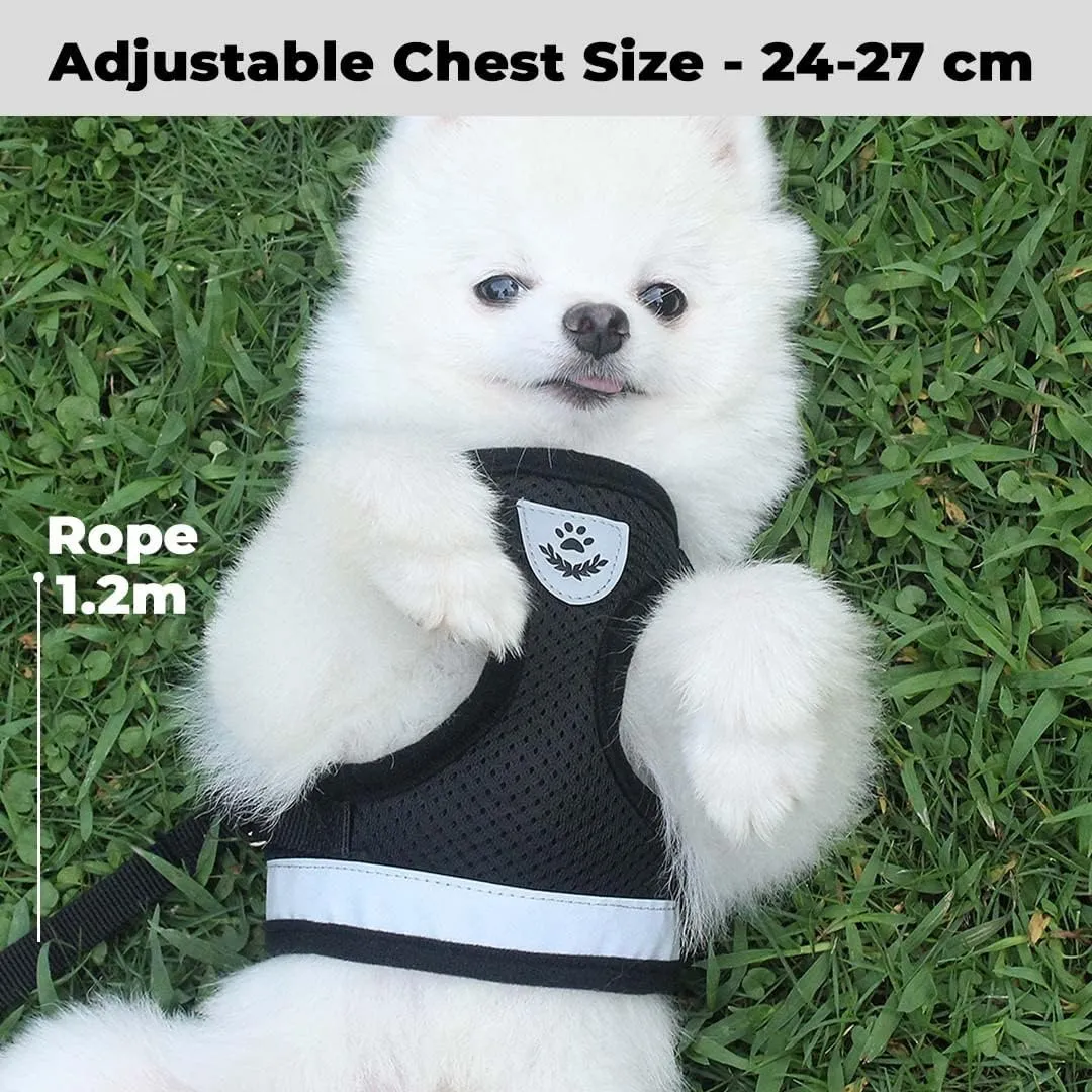 Kuber Industries Reflective Dog Harness With Adjustable Leash|Breathable Polyester Mesh Fabric |XS Size|HT-844|Comfortable No-Pull Grip|Quick Release Buckles|Easy On-Easy Off Harness|Black (Pack Of 3)