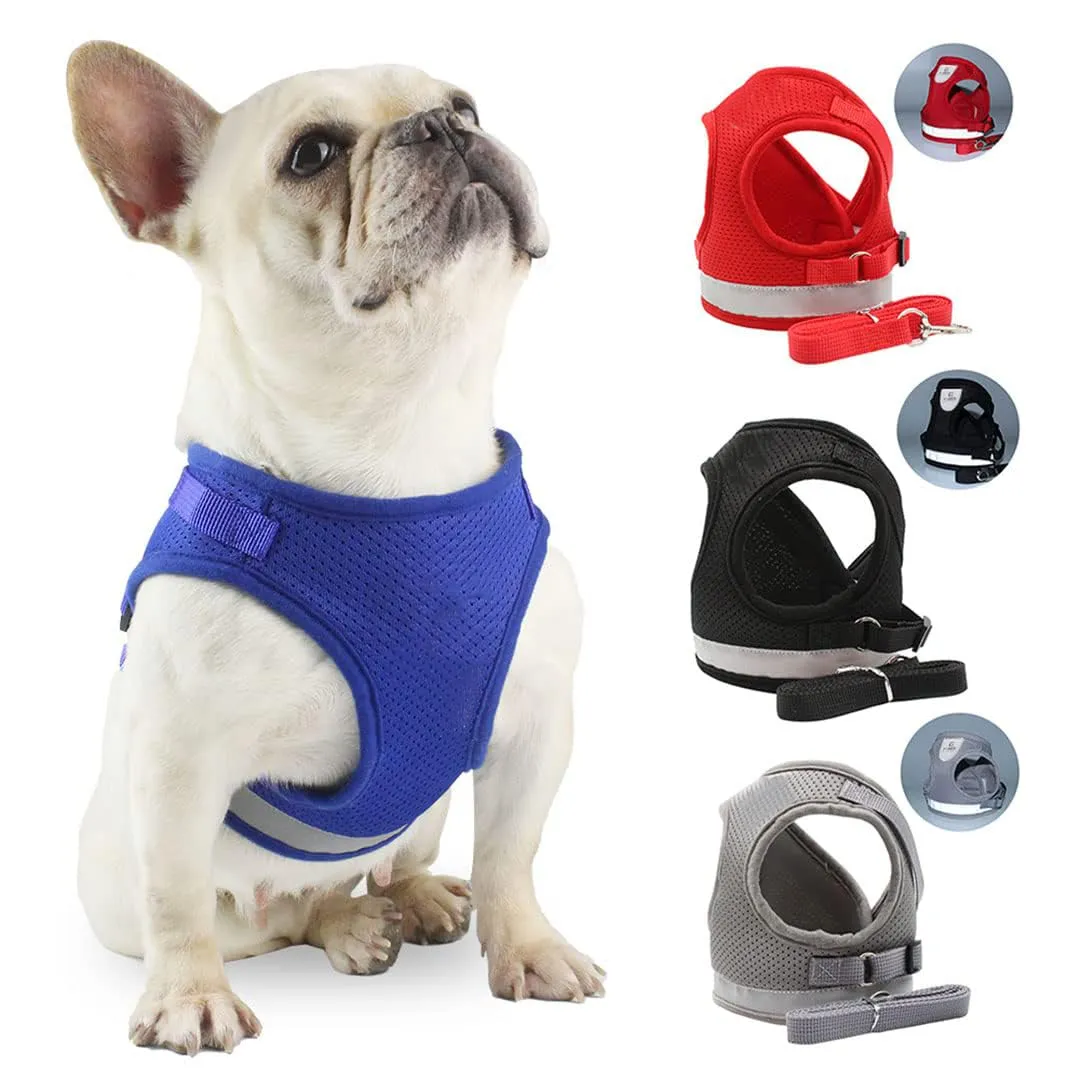 Kuber Industries Reflective Dog Harness With Adjustable Leash|Breathable Polyester Mesh Fabric |XS Size|HT-844|Comfortable No-Pull Grip|Quick Release Buckles|Easy On-Easy Off Harness|Black (Pack Of 3)