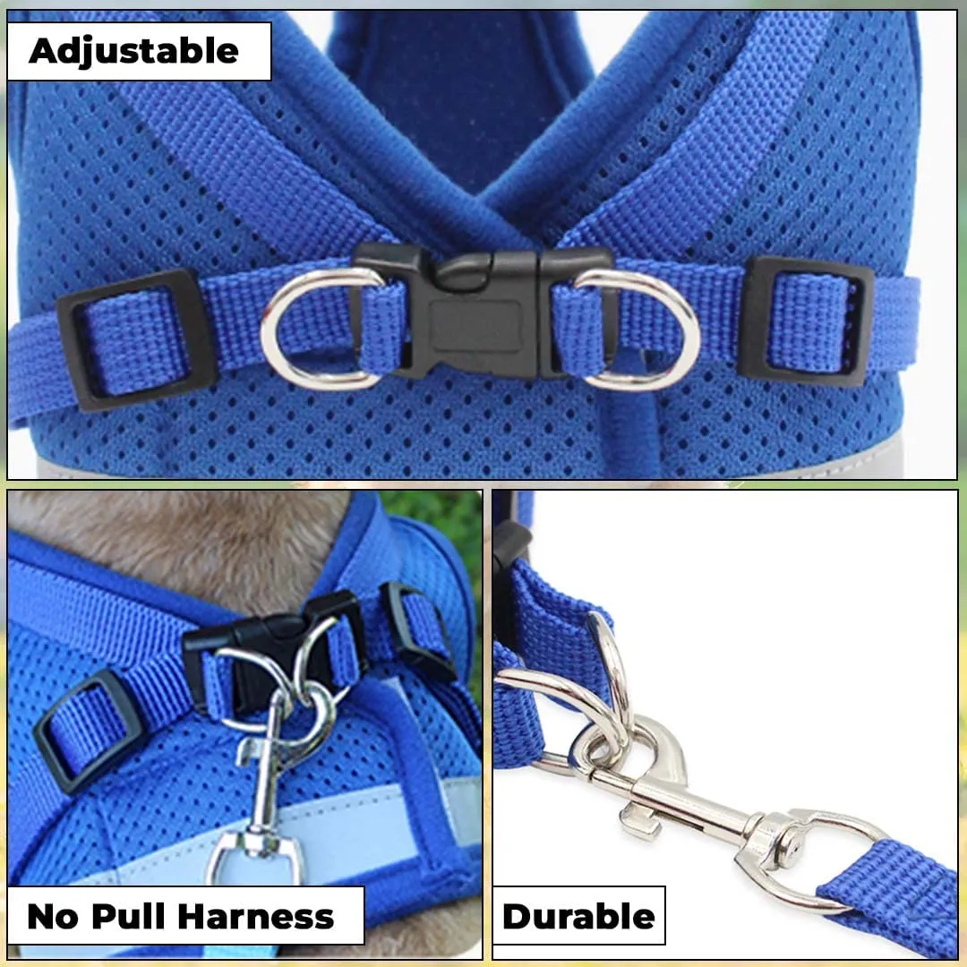Kuber Industries Reflective Dog Harness With Adjustable Leash|Breathable Polyester Mesh Fabric |XS Size|HT-844|Comfortable No-Pull Grip|QuickRelease Buckles|Easy On - Easy Off Harness|Blue (Pack Of 6)