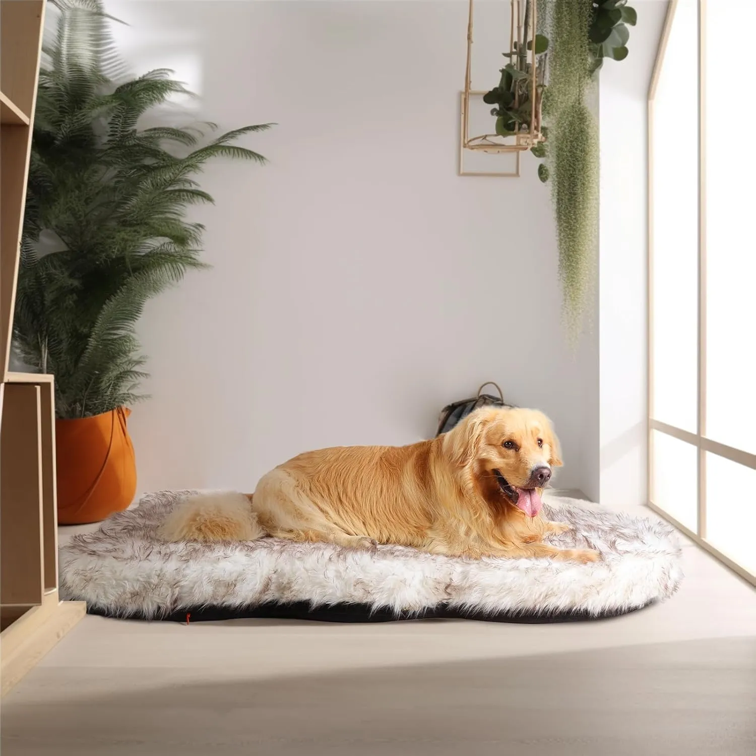 Laifug Luxury Faux Fur Dog Bed, 5-inch Thick Grade Ultra Soft Orthopedic Memory Foam Dog Bed with Faux Fur Cover, Plush Pup Rug with Removable Cover, Waterproof LinerWhite