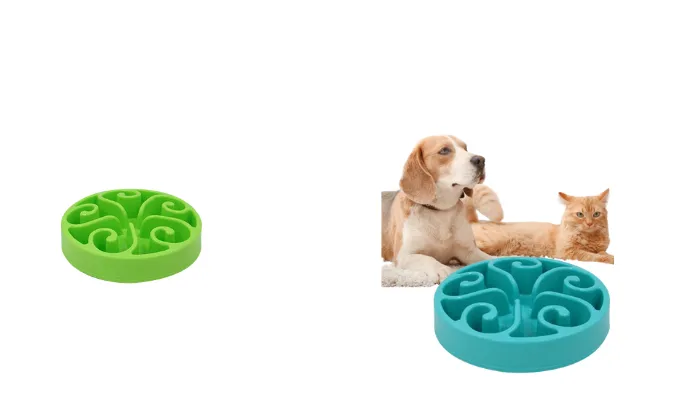 Large Slow Feeding Pet Bowl