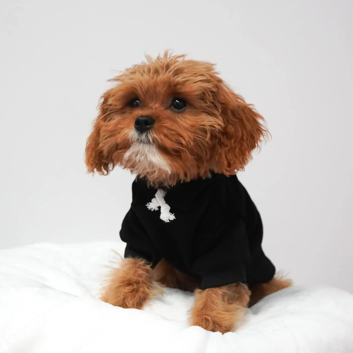 Love My Soldier Dog Hoodie Fleece Lined Pullover Sweatshirt with Leash Hole (Black, Medium 89)