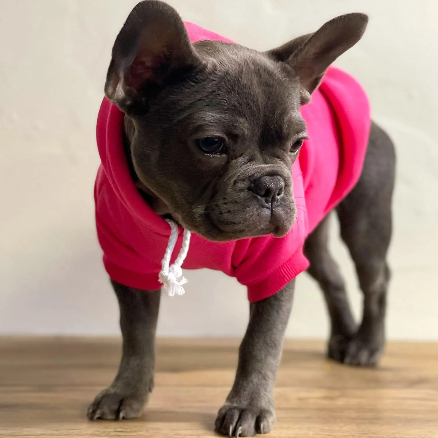 Love You Valentine's Day Dog Hoodie Fleece Lined Pullover Sweatshirt with Leash Hole (Hot Pink, Small 981)