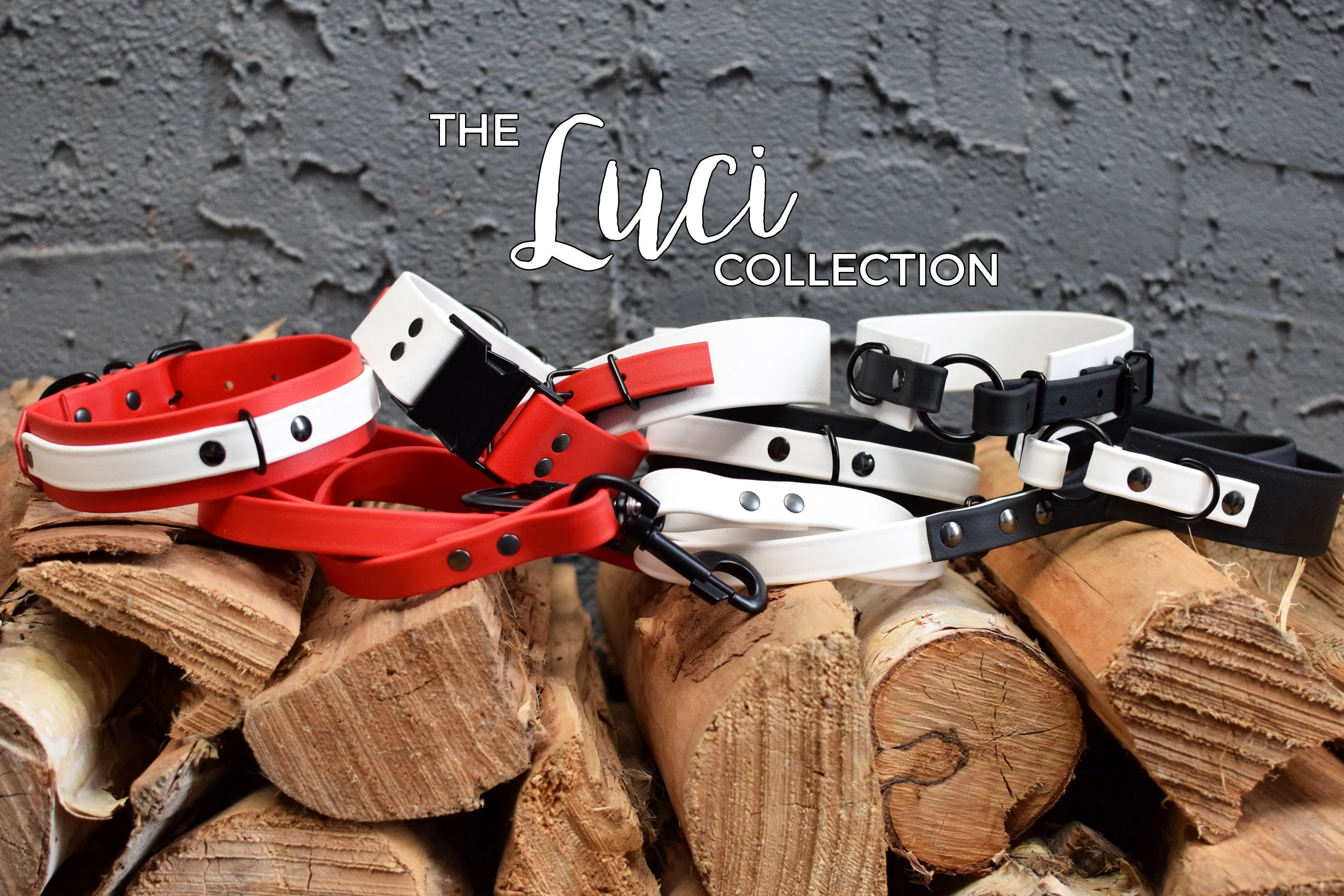 LUCI COLLECTION - Black & Black Biothane Dog Leash