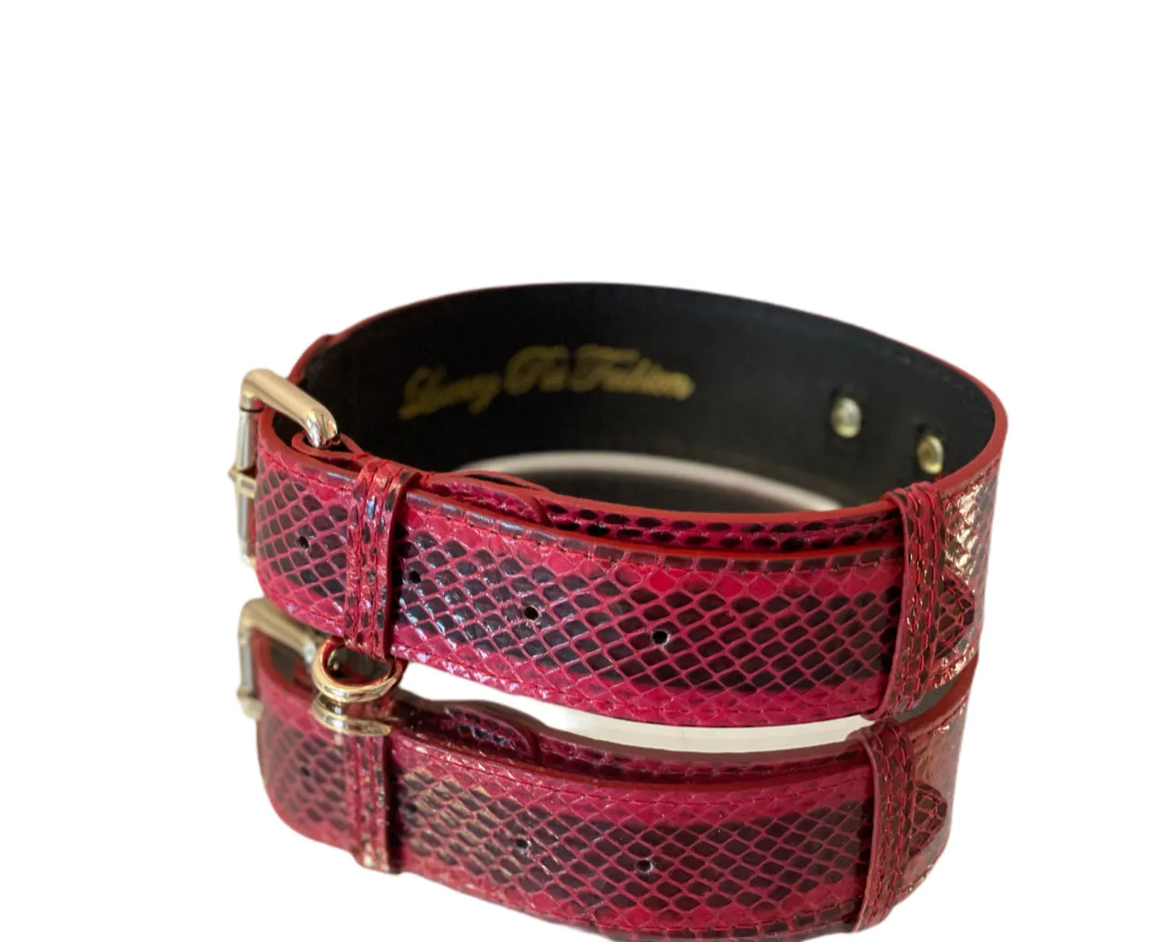 Luxury Pet Fashion Red & Black Viper Snake Collar with Gold Classic Hardware