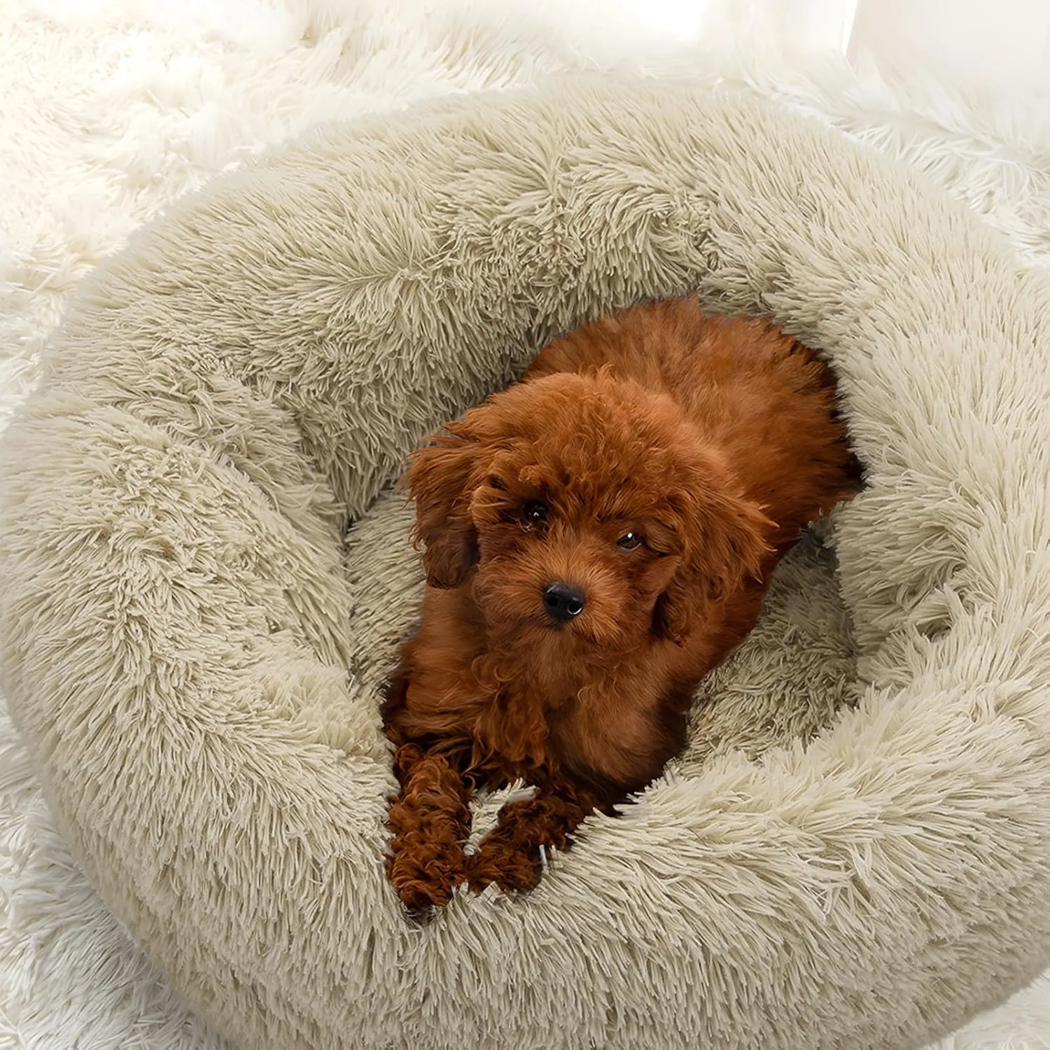 Magshion Long Plush Calming Dog Beds for Small Dogs, Comfy Cuddler Donut Cat Beds for Indoor Cats, Machine Washable & Non-Slip Bottom, 24" Diameter Fits up to 25 lbs Pets, Beige