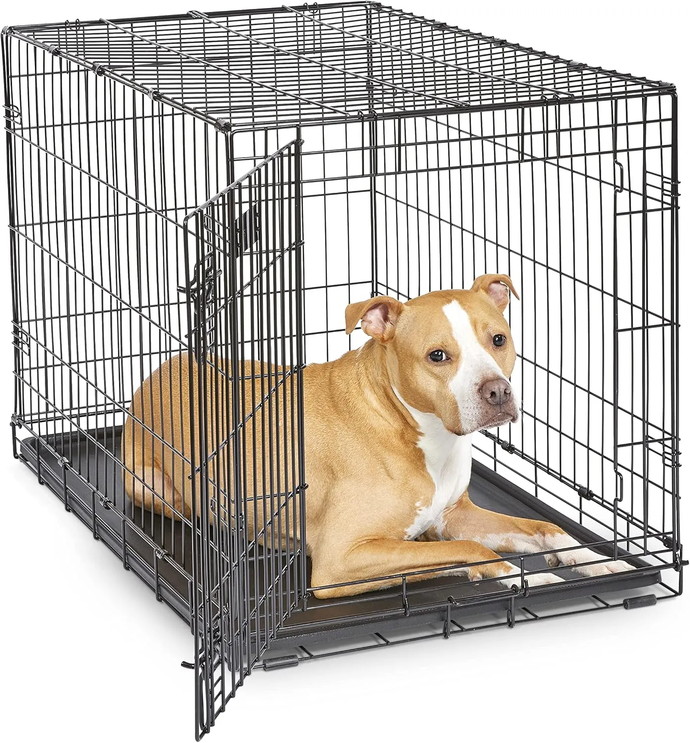 MidWest Homes for Pets Newly Enhanced Single & Double Door iCrate Dog Crate, Includes Leak-Proof Pan, Floor Protecting Feet, Divider Panel & New Patented Features