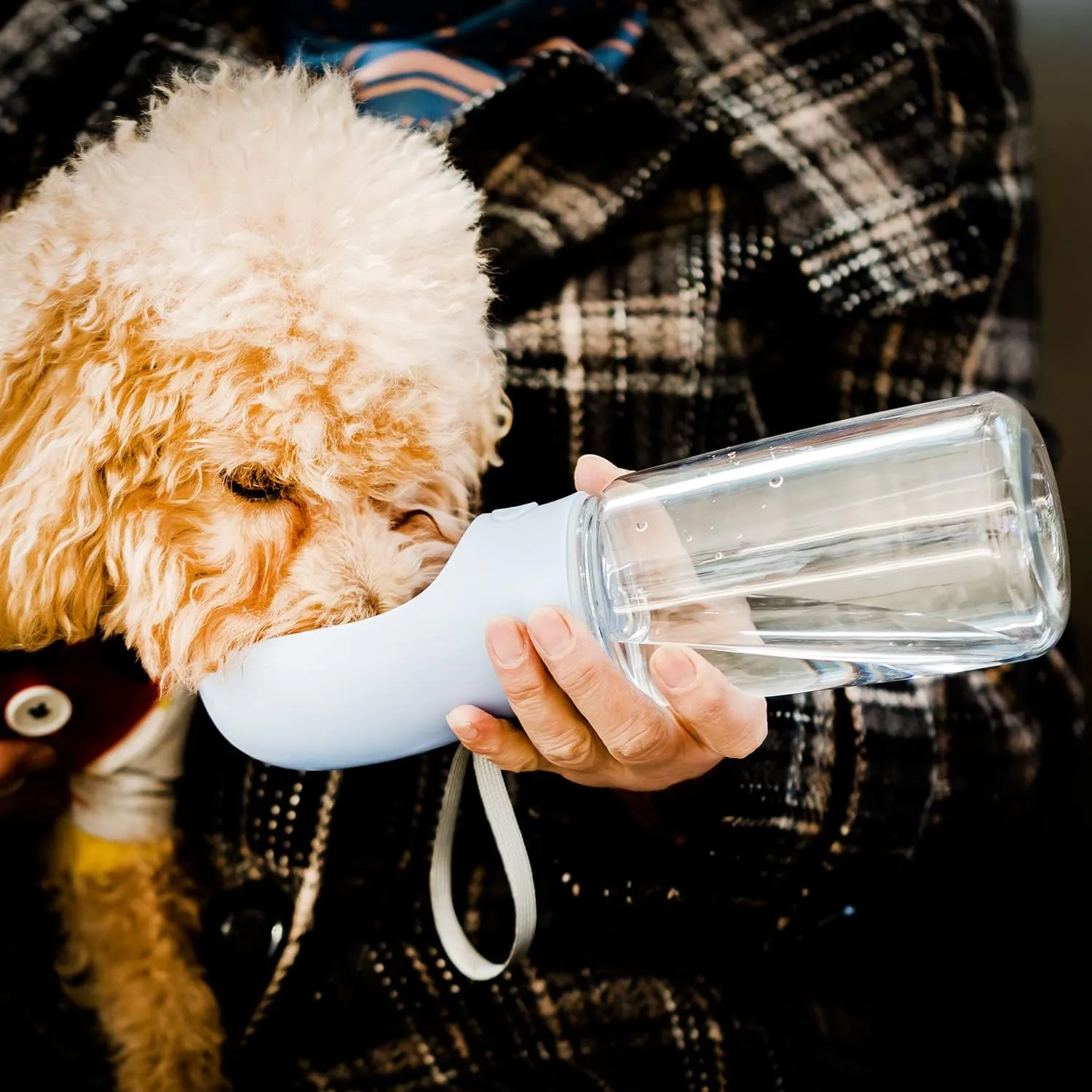 Mr. Pen Portable Dog Water Bottle - 19oz, Blue, Travel & Dispenser for Dogs