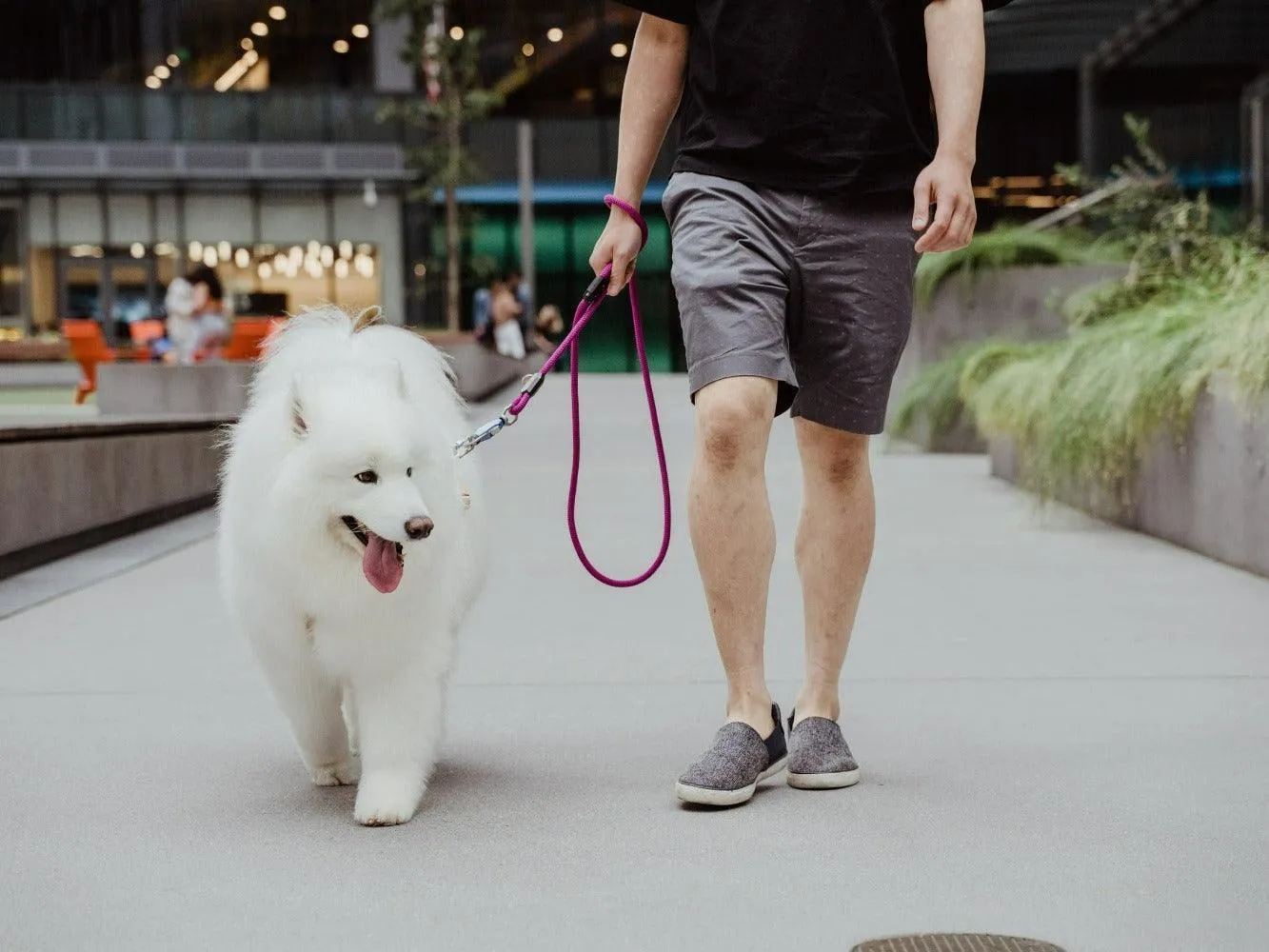 MUi Magnetic Rope Dog Leash