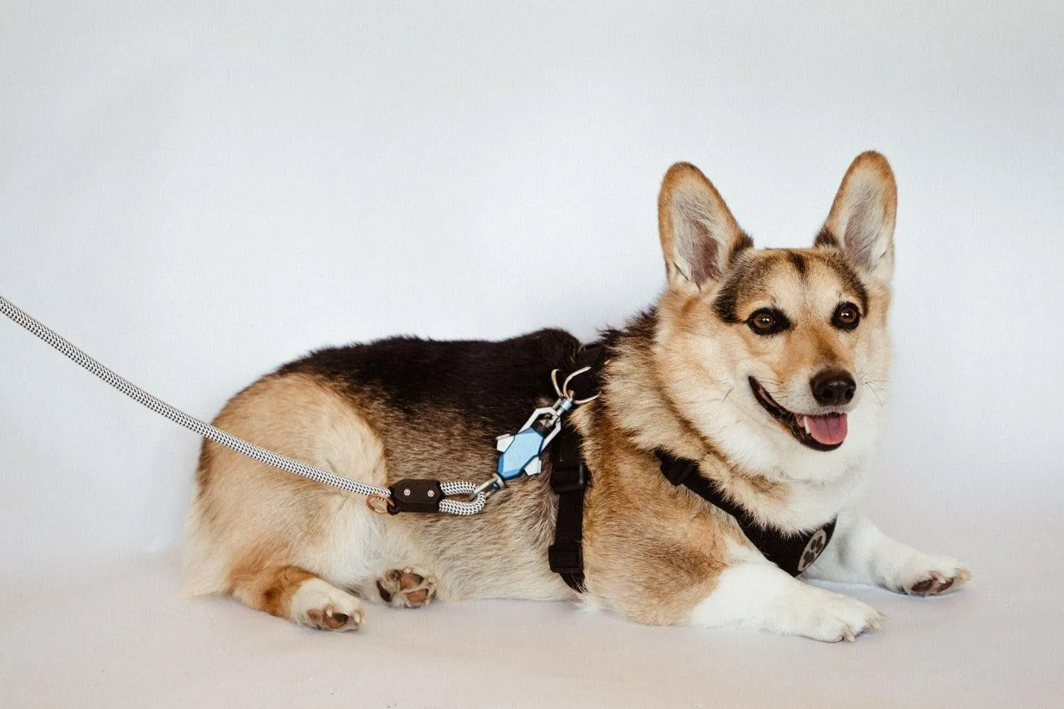 MUi Magnetic Rope Dog Leash