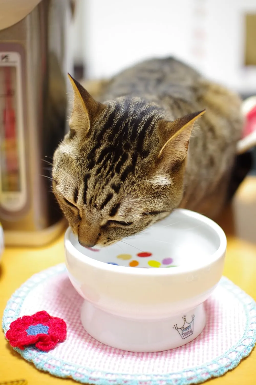 Necoichi Raised Cat Water Bowl, Elevated, with Measurement Lines, Dishwasher and Microwave Safe, No.1 Seller in Japan! (Jelly Bean, Regular)