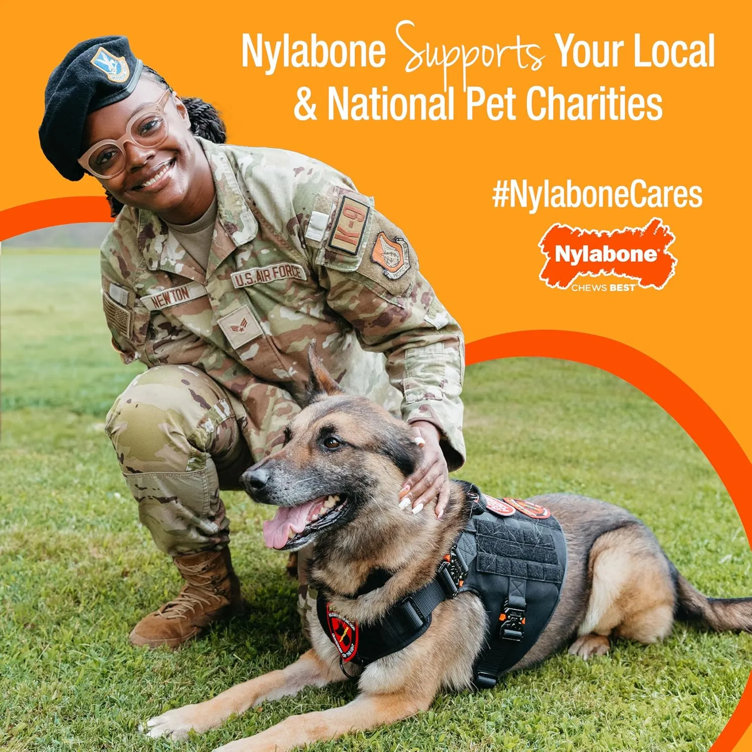 Nylabone Moderate Chew FlexiChew Dental Chew Toy Chicken Large/Giant (1 Count)