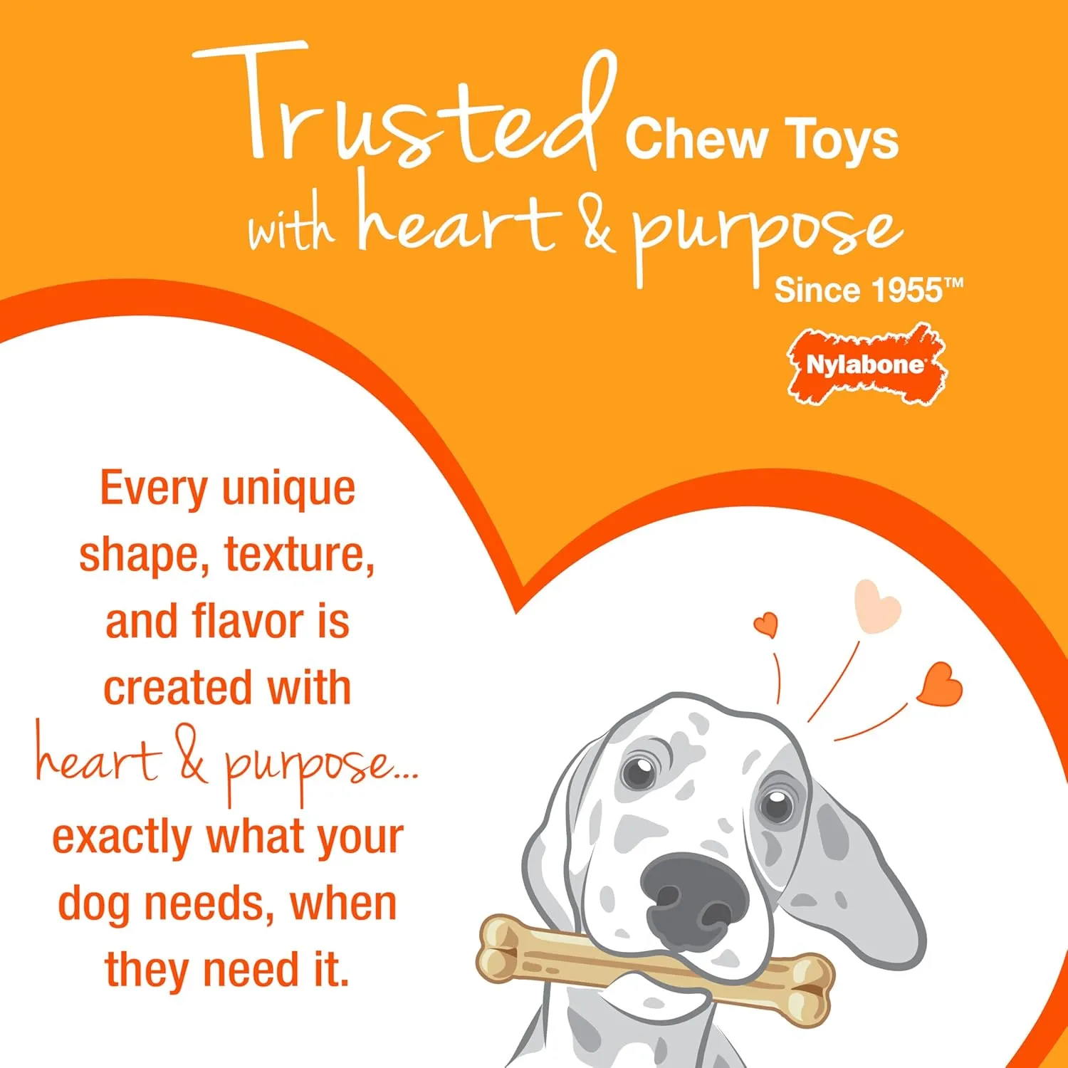 Nylabone Moderate Chew FlexiChew Dental Chew Toy Chicken Large/Giant (1 Count)