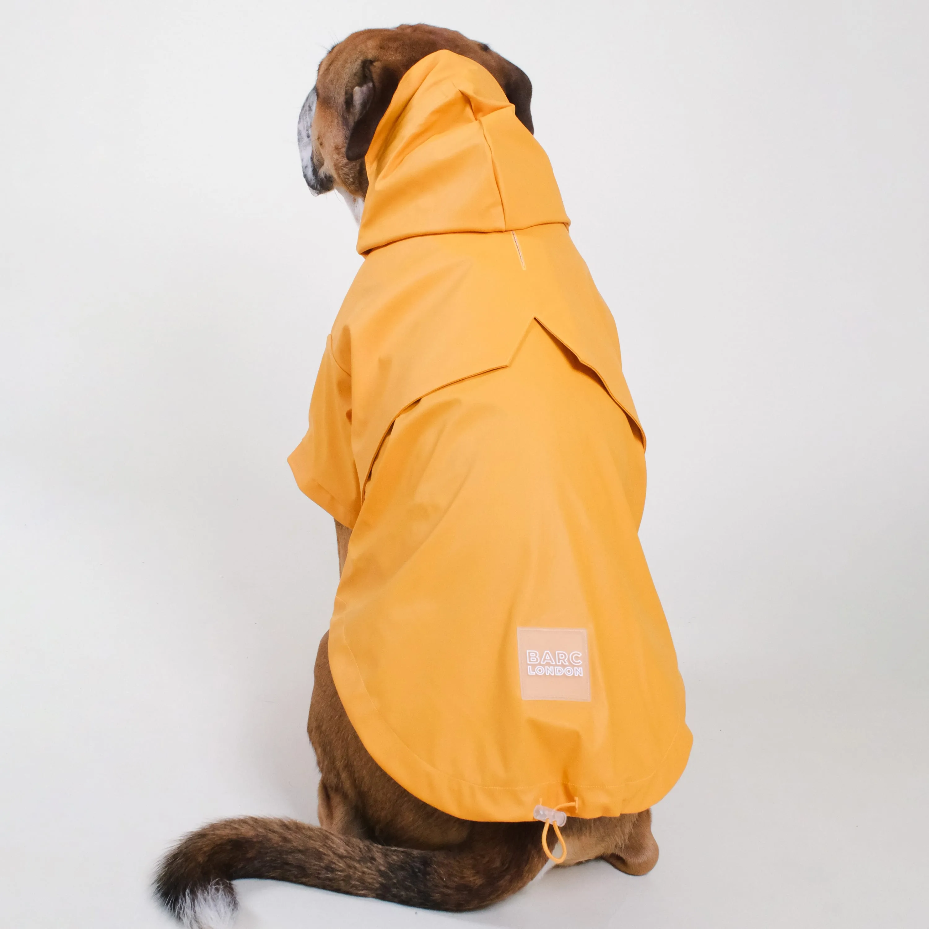 Orange Dog Raincoat