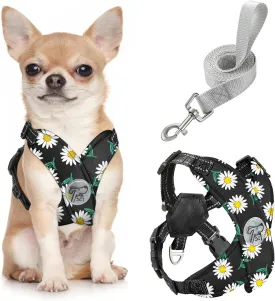 Pawaboo Small Dog Harness and Leash Set, Puppy Harness X-Frame No Pull No Choke, Dog Vest Harness Adjustable for Small Medium Sized Dogs,Soft Breathable Pet Harness for Walking Outing, S, Black Daisy