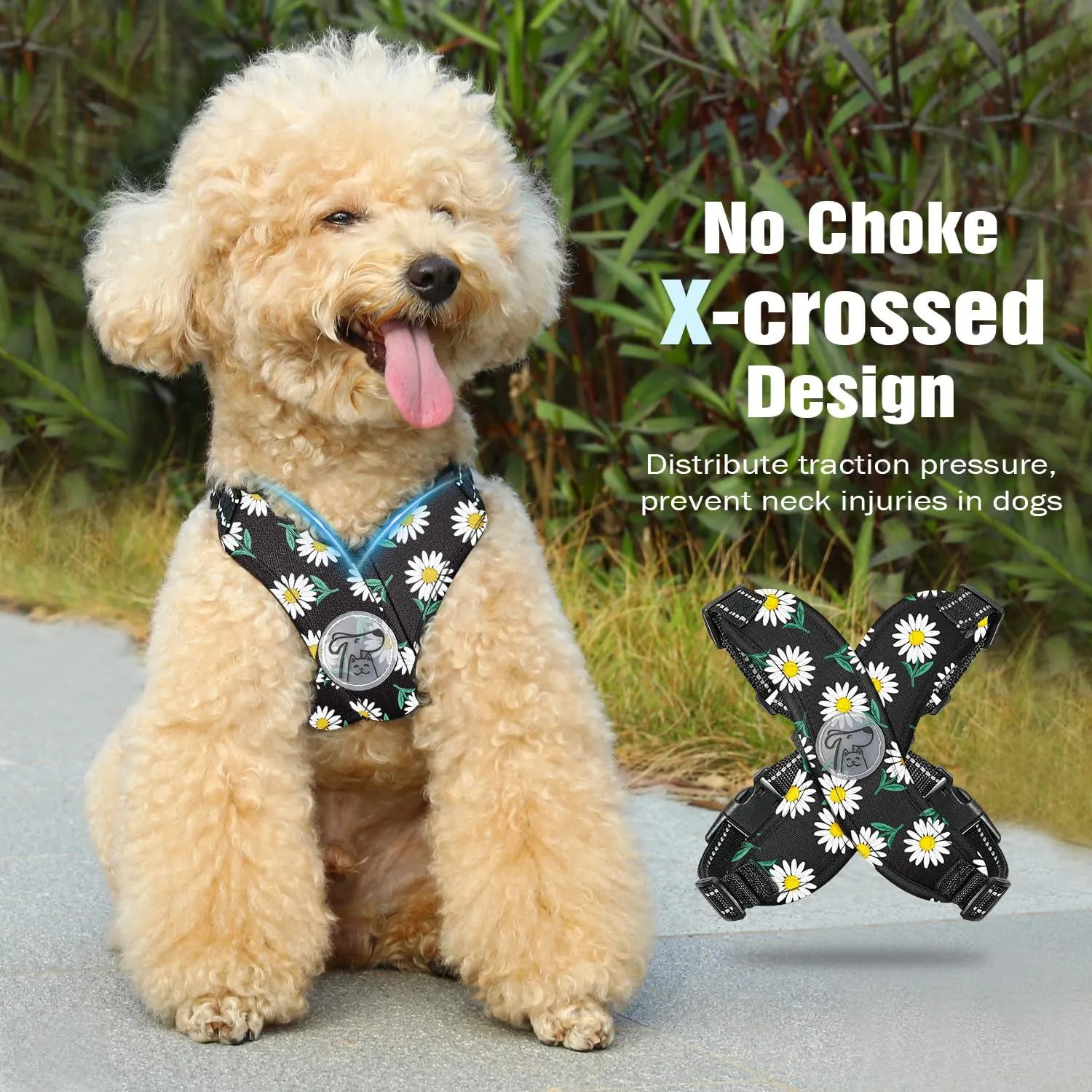 Pawaboo Small Dog Harness and Leash Set, Puppy Harness X-Frame No Pull No Choke, Dog Vest Harness Adjustable for Small Medium Sized Dogs,Soft Breathable Pet Harness for Walking Outing, S, Black Daisy