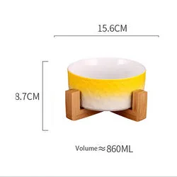 PAWS ASIA Amazon New High Quality Luxury Modern Elevated Designed Unique Ceramic Cat Bowl Dog With Wood Stand