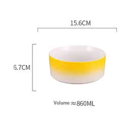 PAWS ASIA Amazon New High Quality Luxury Modern Elevated Designed Unique Ceramic Cat Bowl Dog With Wood Stand